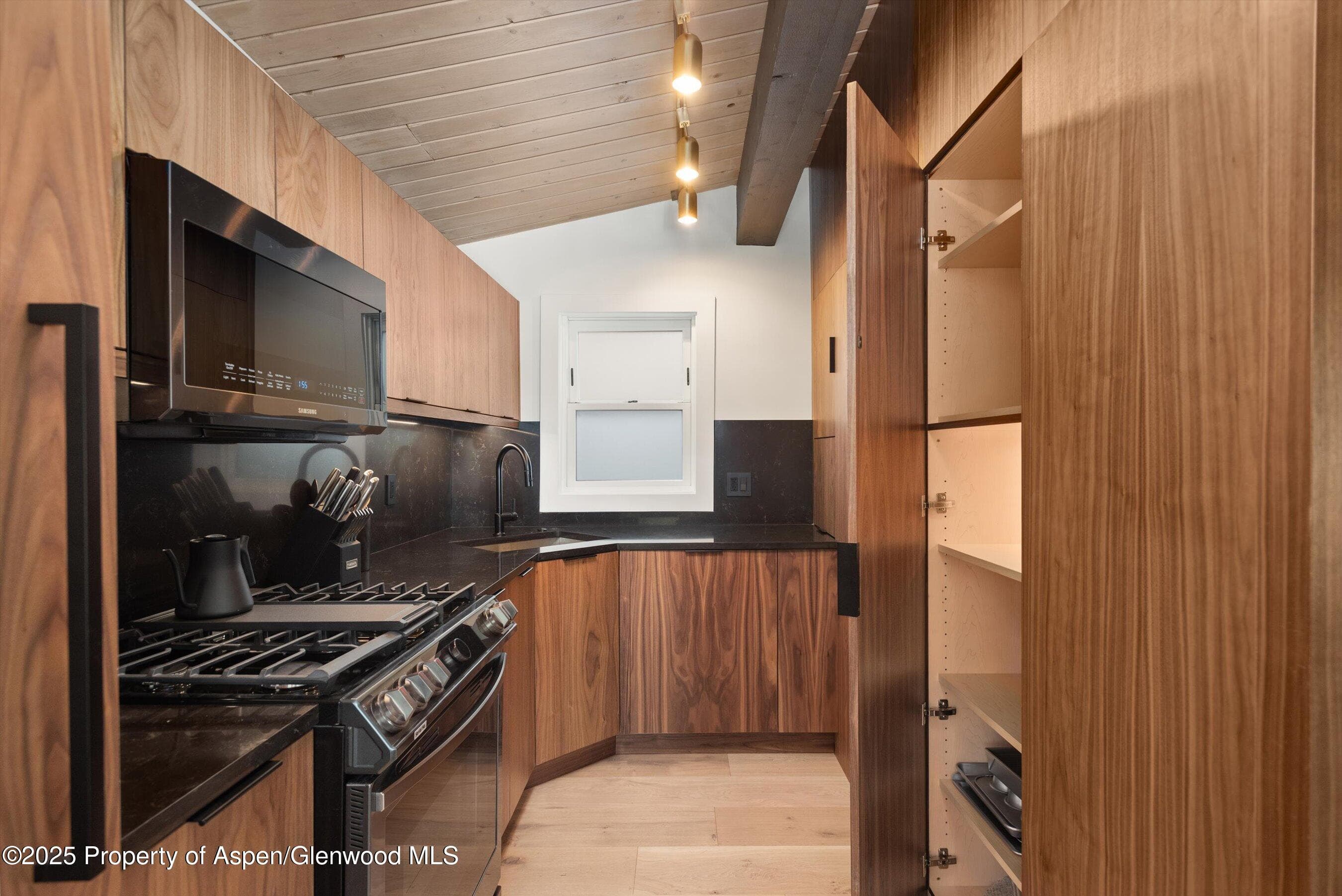 809 S Aspen Street 2, Aspen, CO 81611 - Photo 11