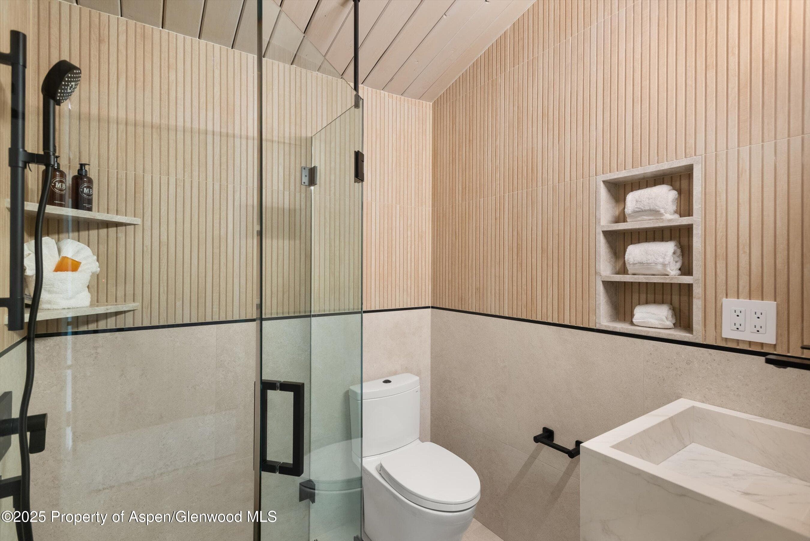 809 S Aspen Street 2, Aspen, CO 81611 - Photo 15