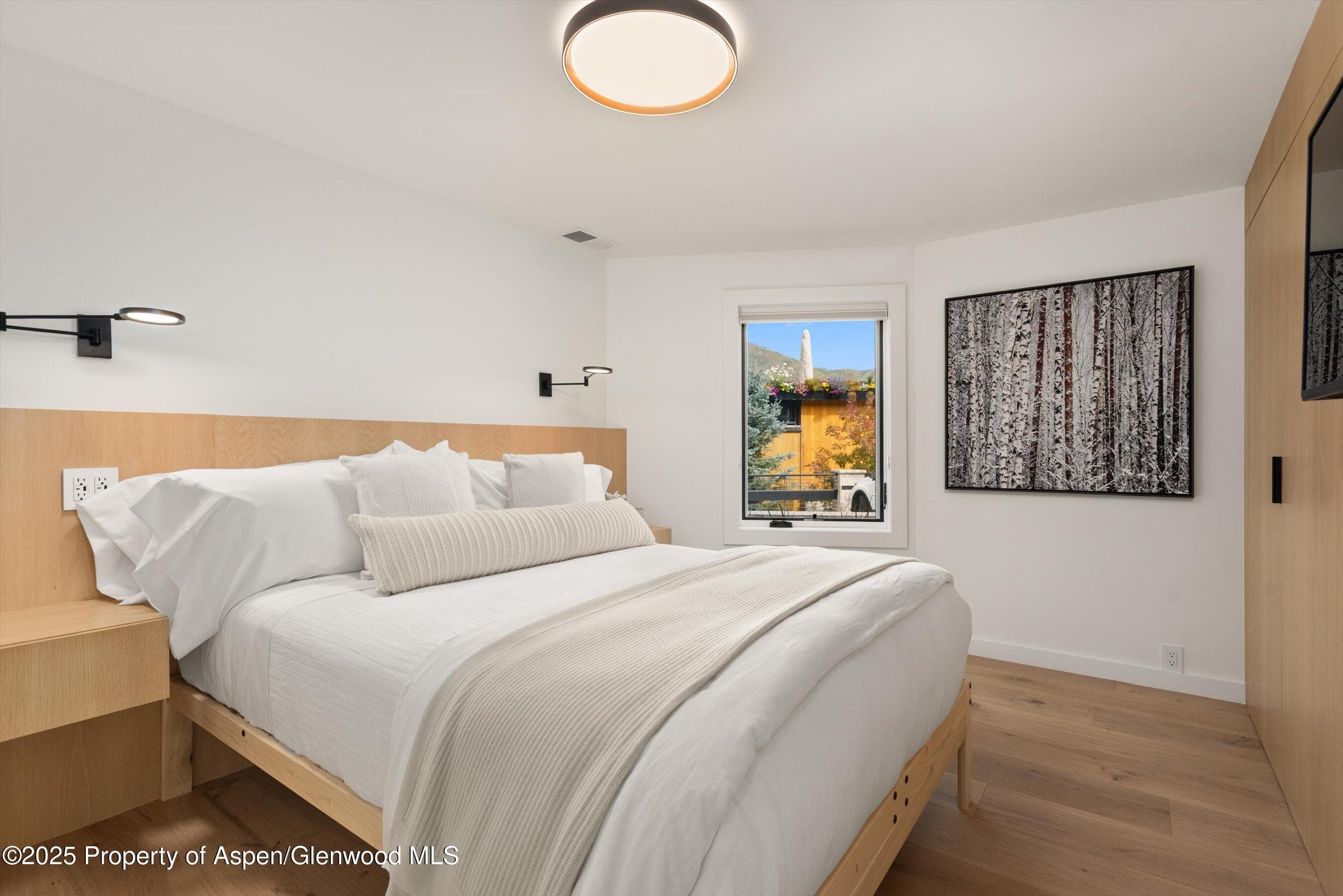 809 S Aspen Street 2, Aspen, CO 81611 - Photo 17