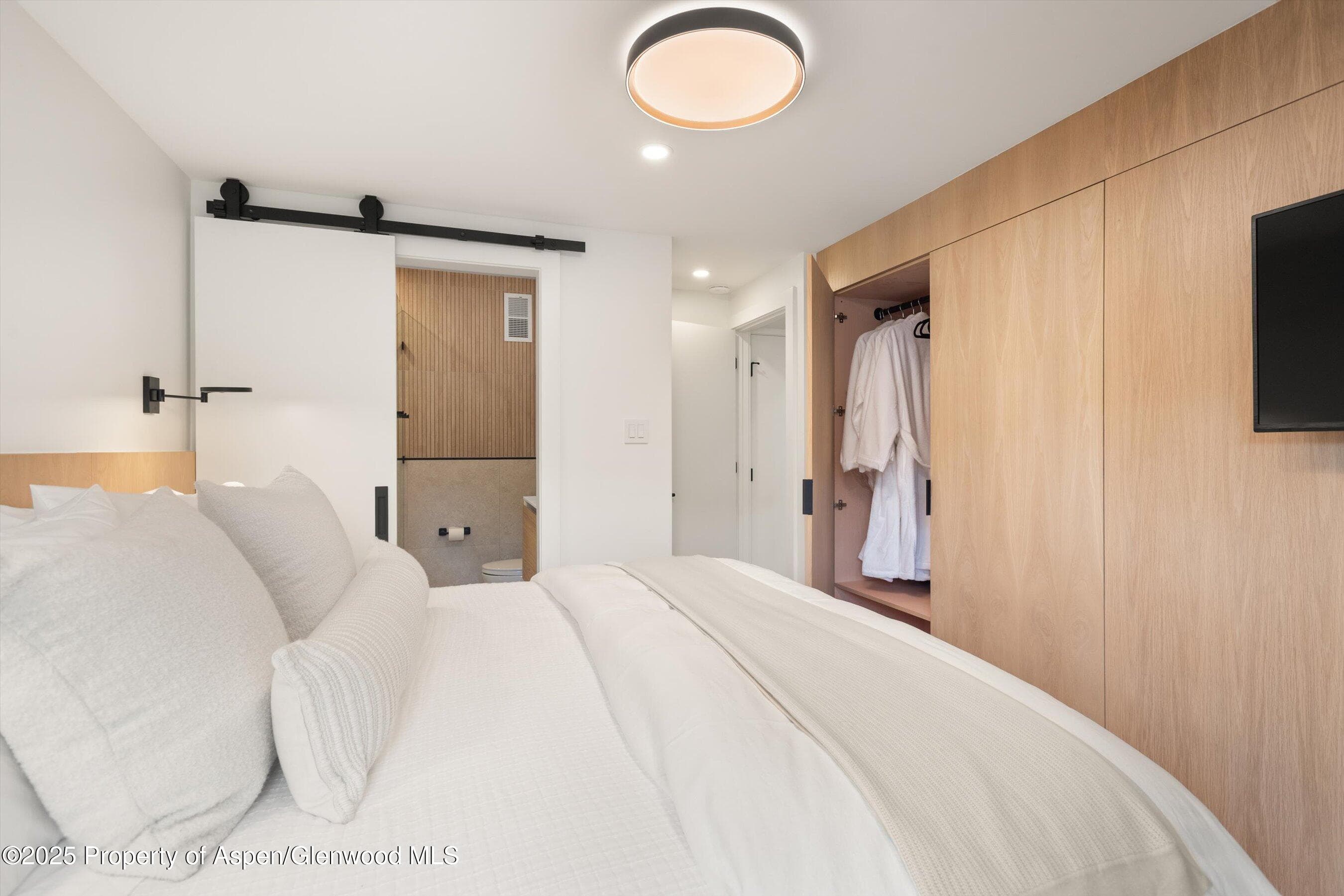 809 S Aspen Street 2, Aspen, CO 81611 - Photo 20