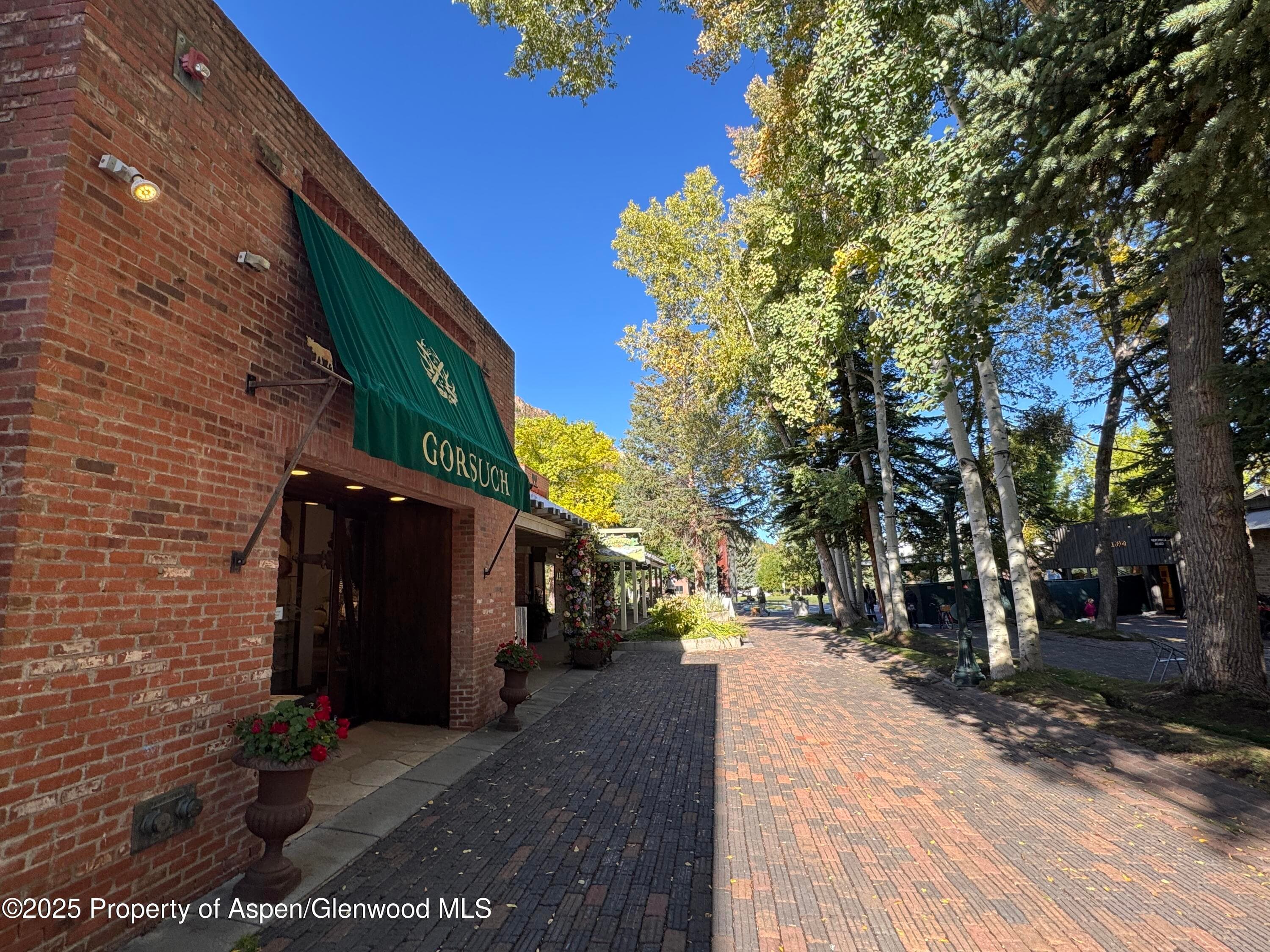 419 E Cooper Avenue, Aspen, CO 81611 - Photo 2