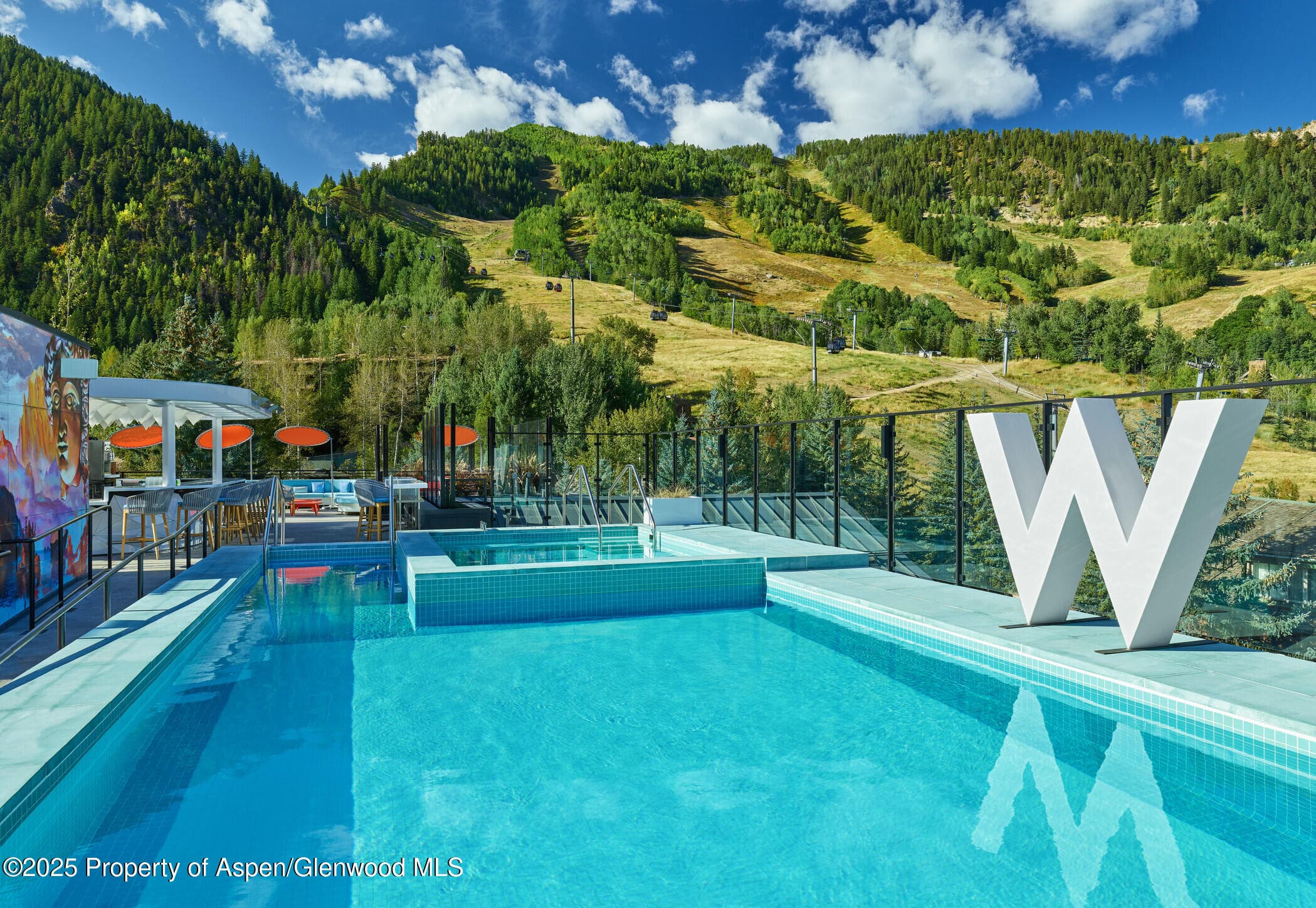 550 S Spring Street, Aspen, CO 81611 - Photo 5