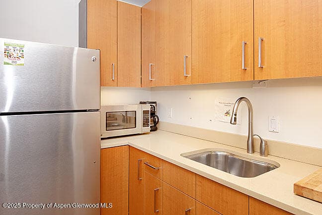 319 MAIN Street 303, Carbondale, CO 81623 - Photo 2