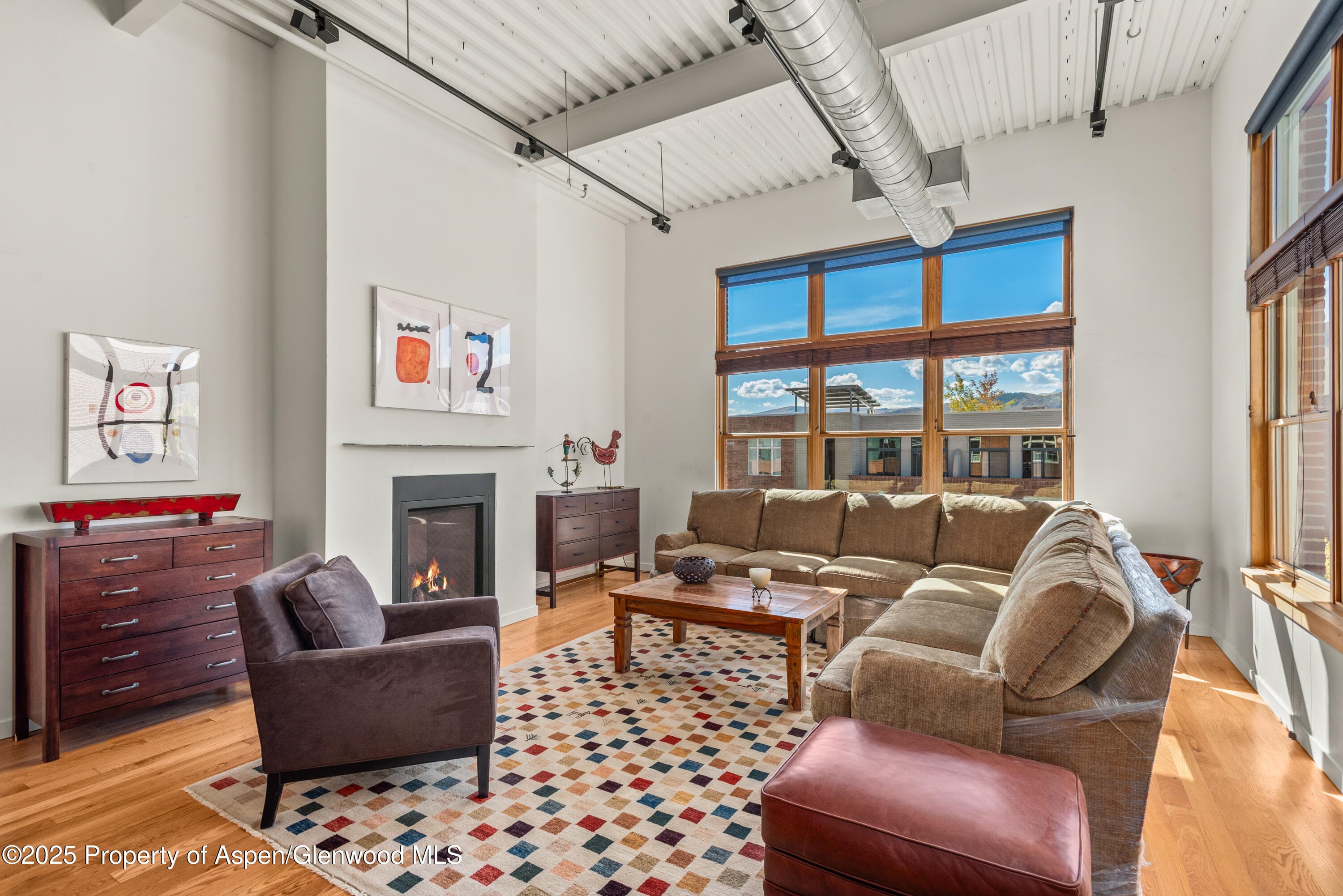 231 Robinson Street #R-340, Basalt, CO 81621 - Photo 3