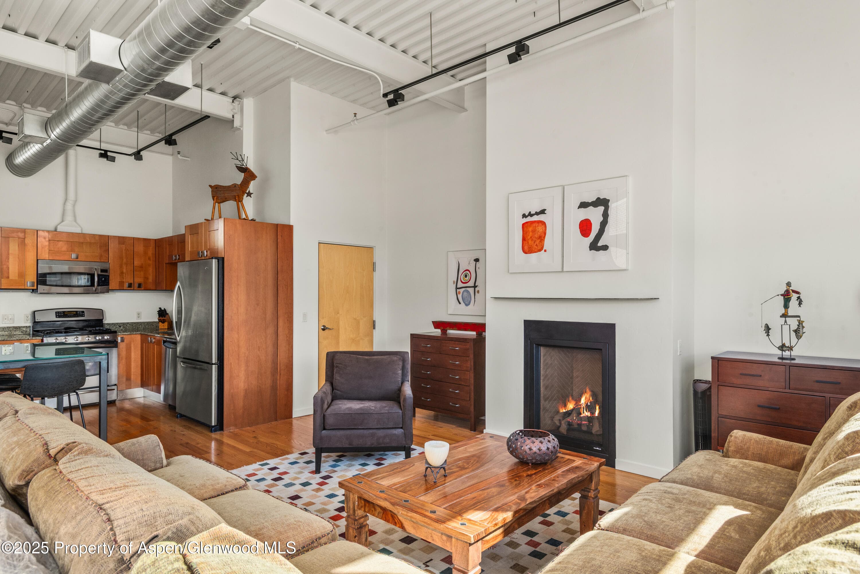 231 Robinson Street #R-340, Basalt, CO 81621 - Photo 4