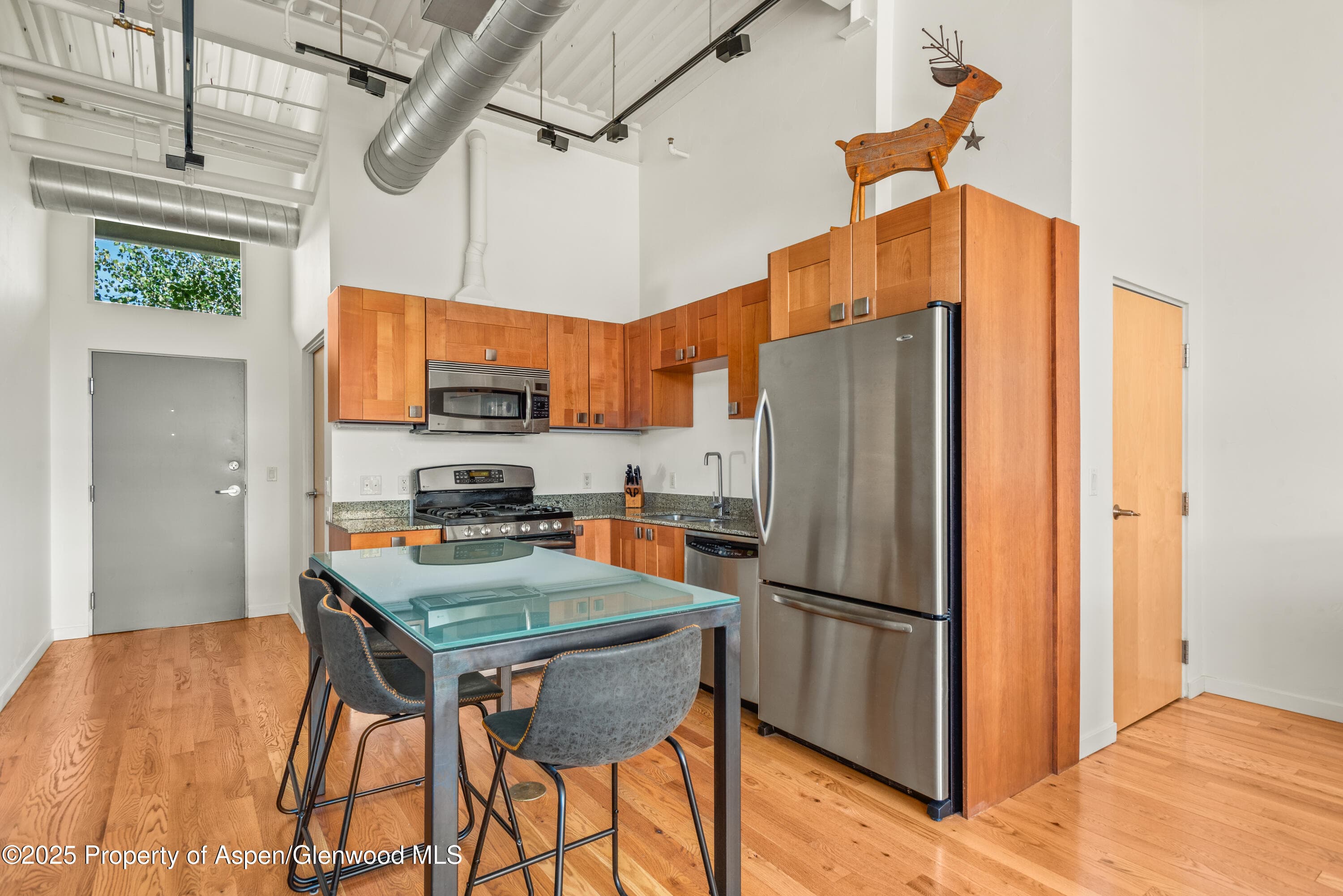 231 Robinson Street #R-340, Basalt, CO 81621 - Photo 5