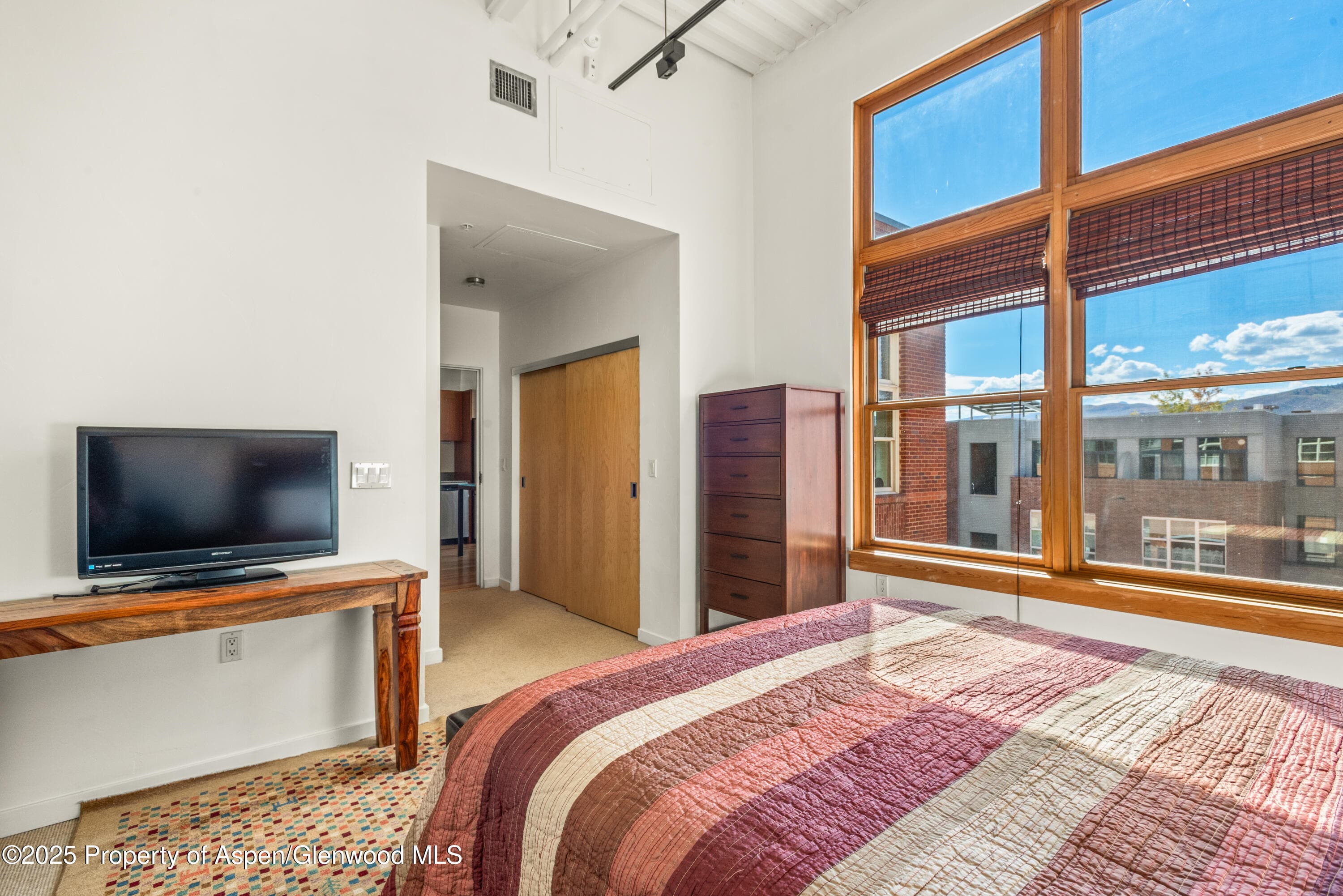 231 Robinson Street #R-340, Basalt, CO 81621 - Photo 8