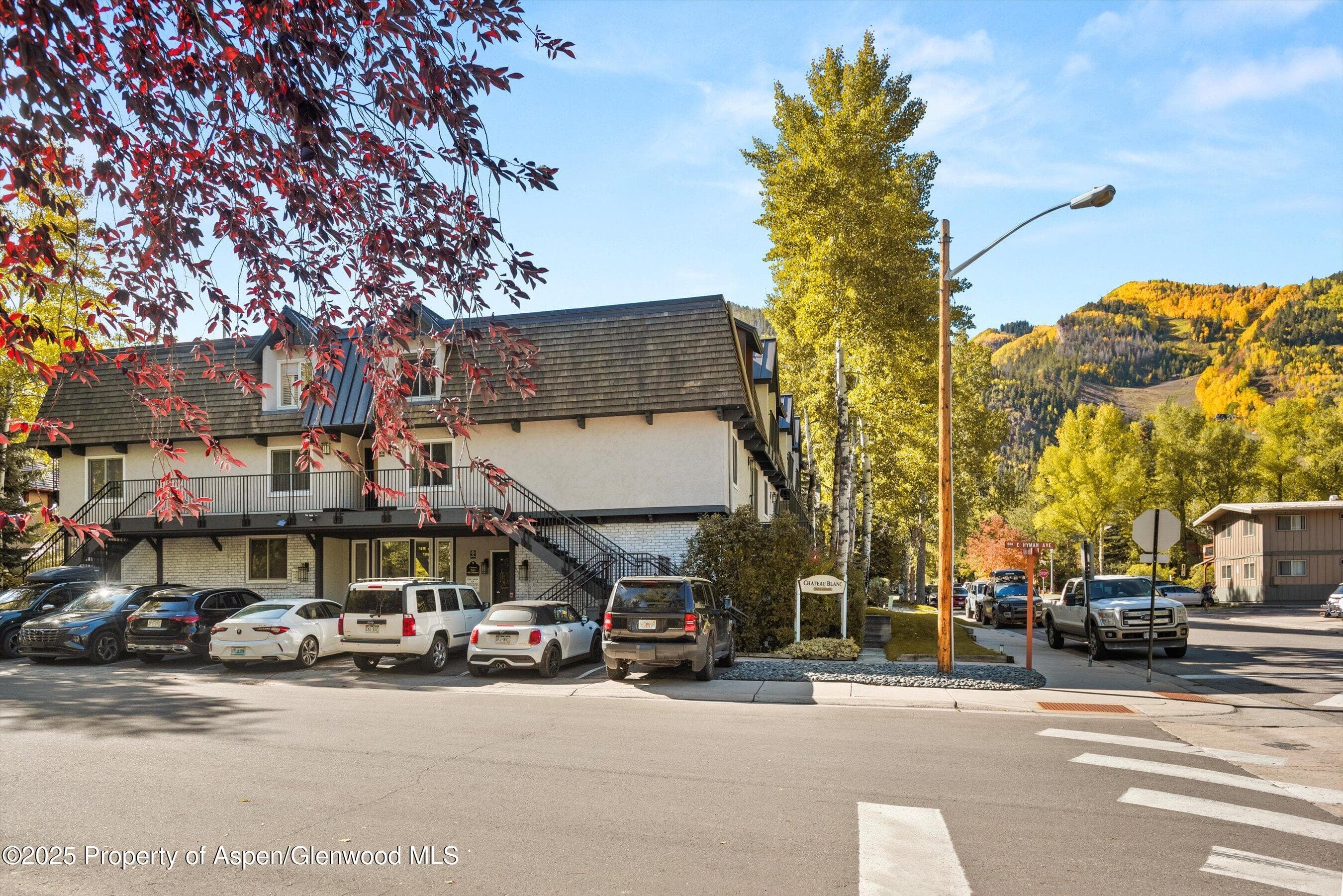 901 E Hyman Avenue 13, Aspen, CO 81611 - Photo 11