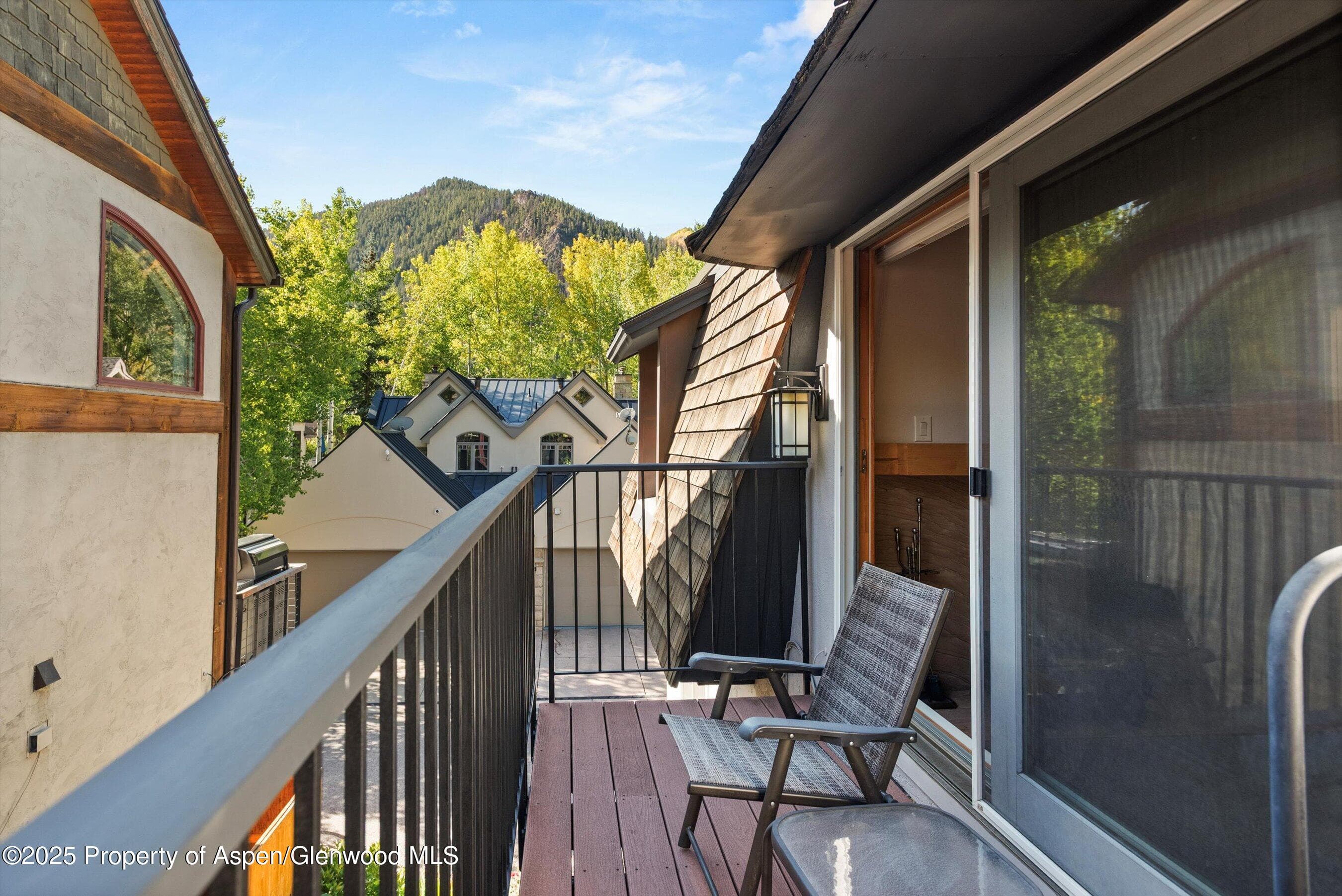 901 E Hyman Avenue 13, Aspen, CO 81611 - Photo 10