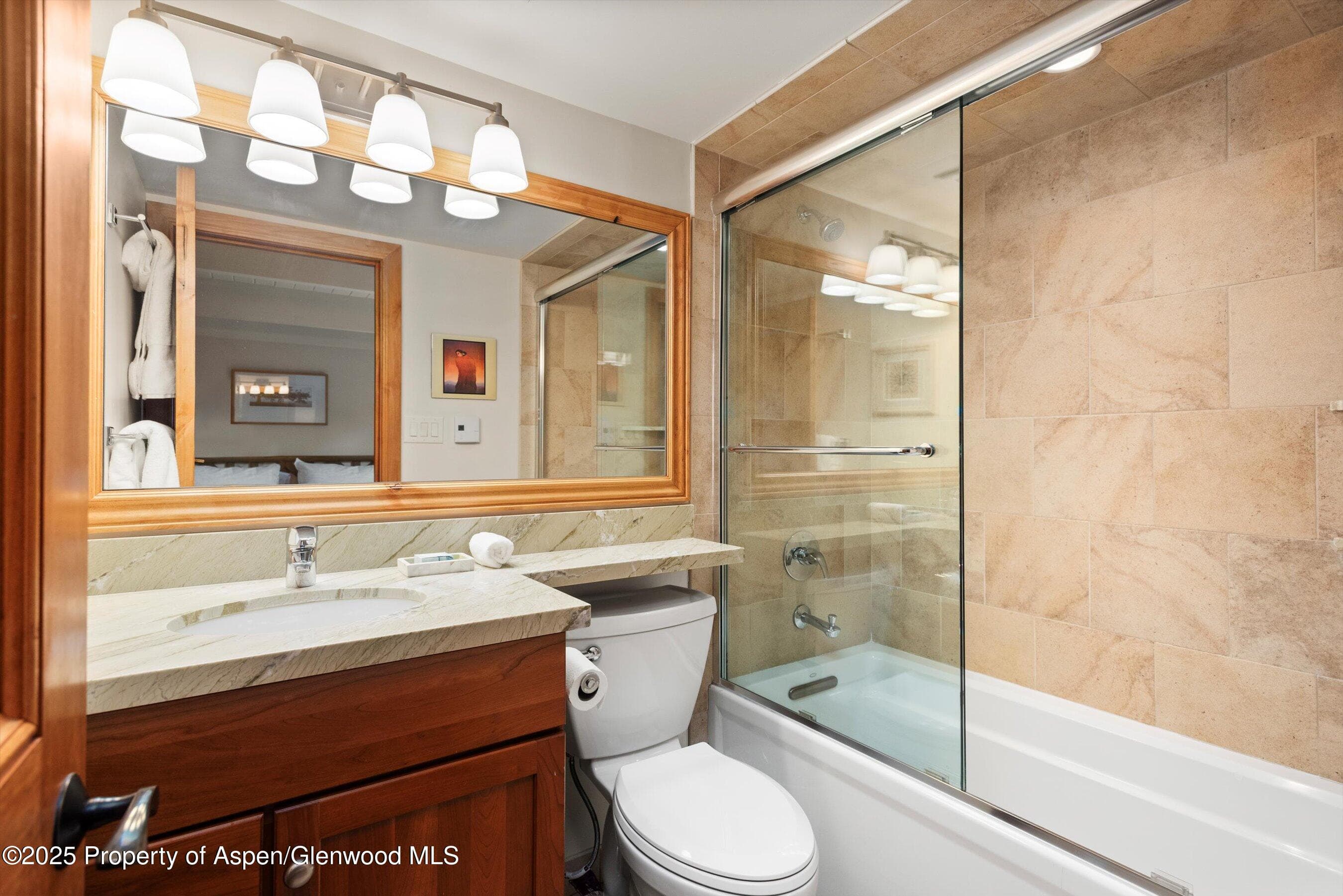 901 E Hyman Avenue 13, Aspen, CO 81611 - Photo 9