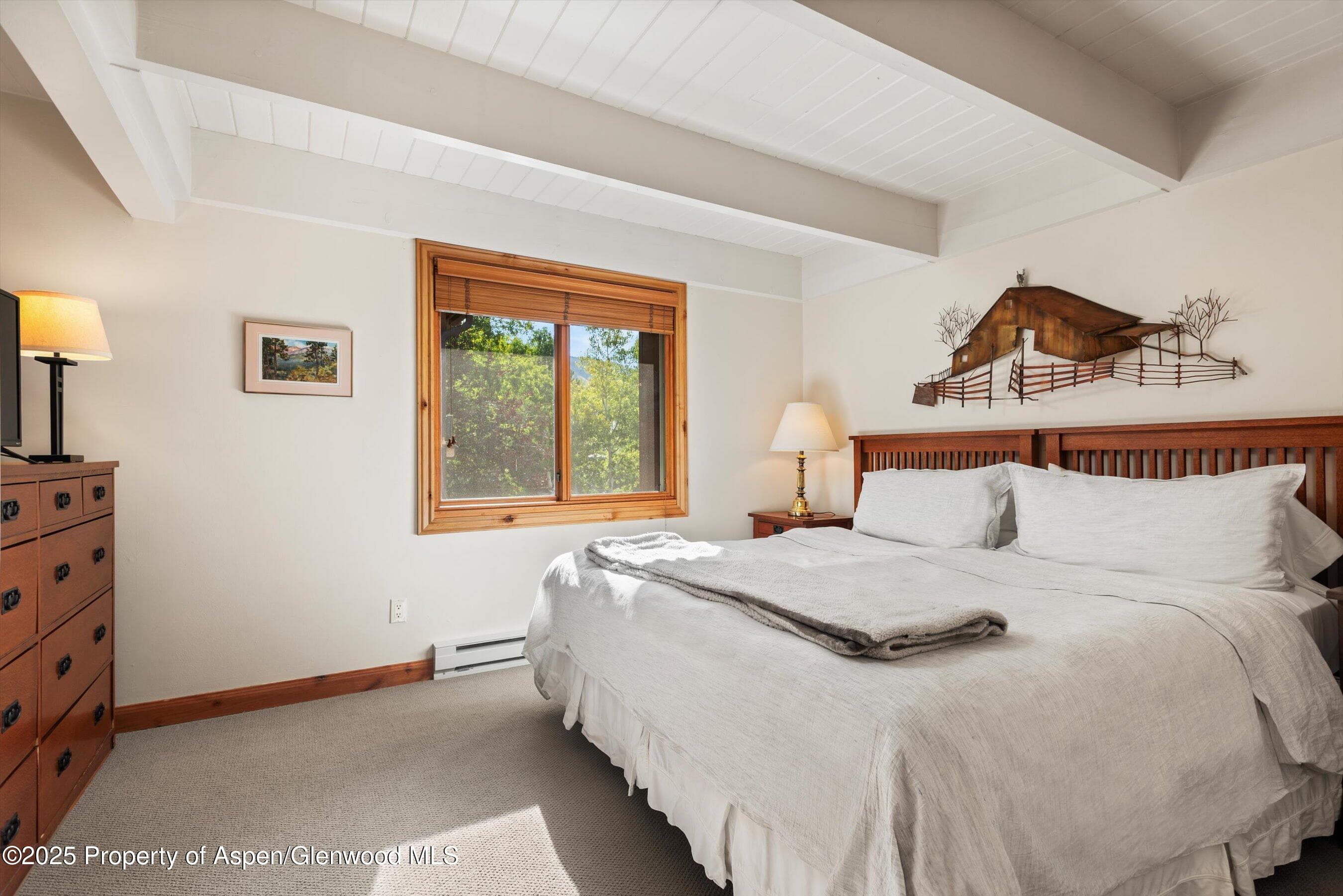 901 E Hyman Avenue 13, Aspen, CO 81611 - Photo 8
