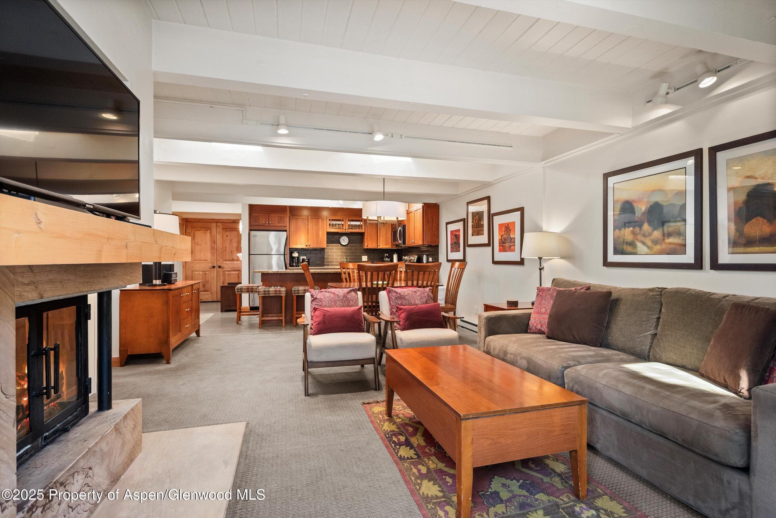 901 E Hyman Avenue 13, Aspen, CO 81611 - Photo 4