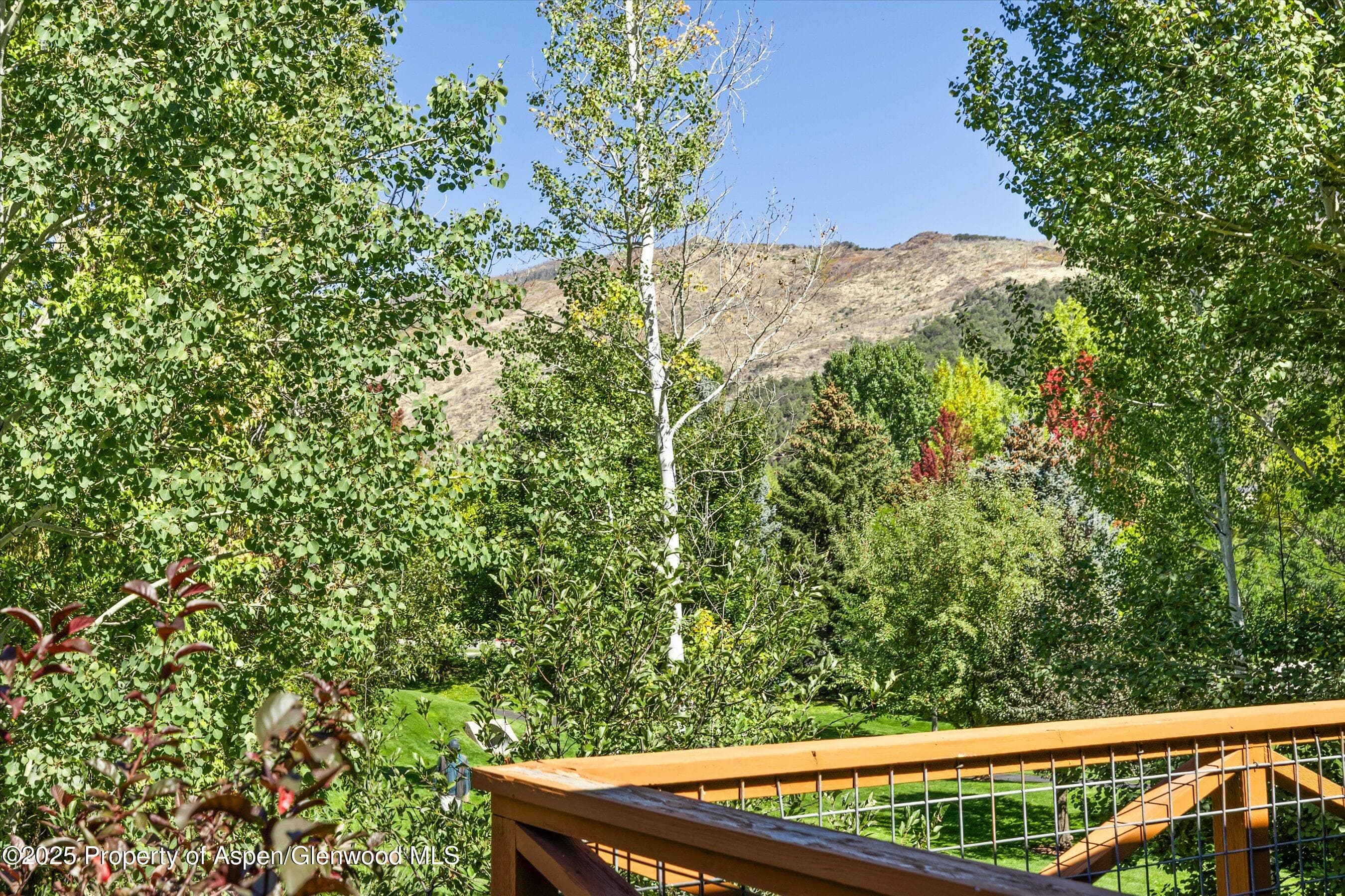 Property - Photo 9