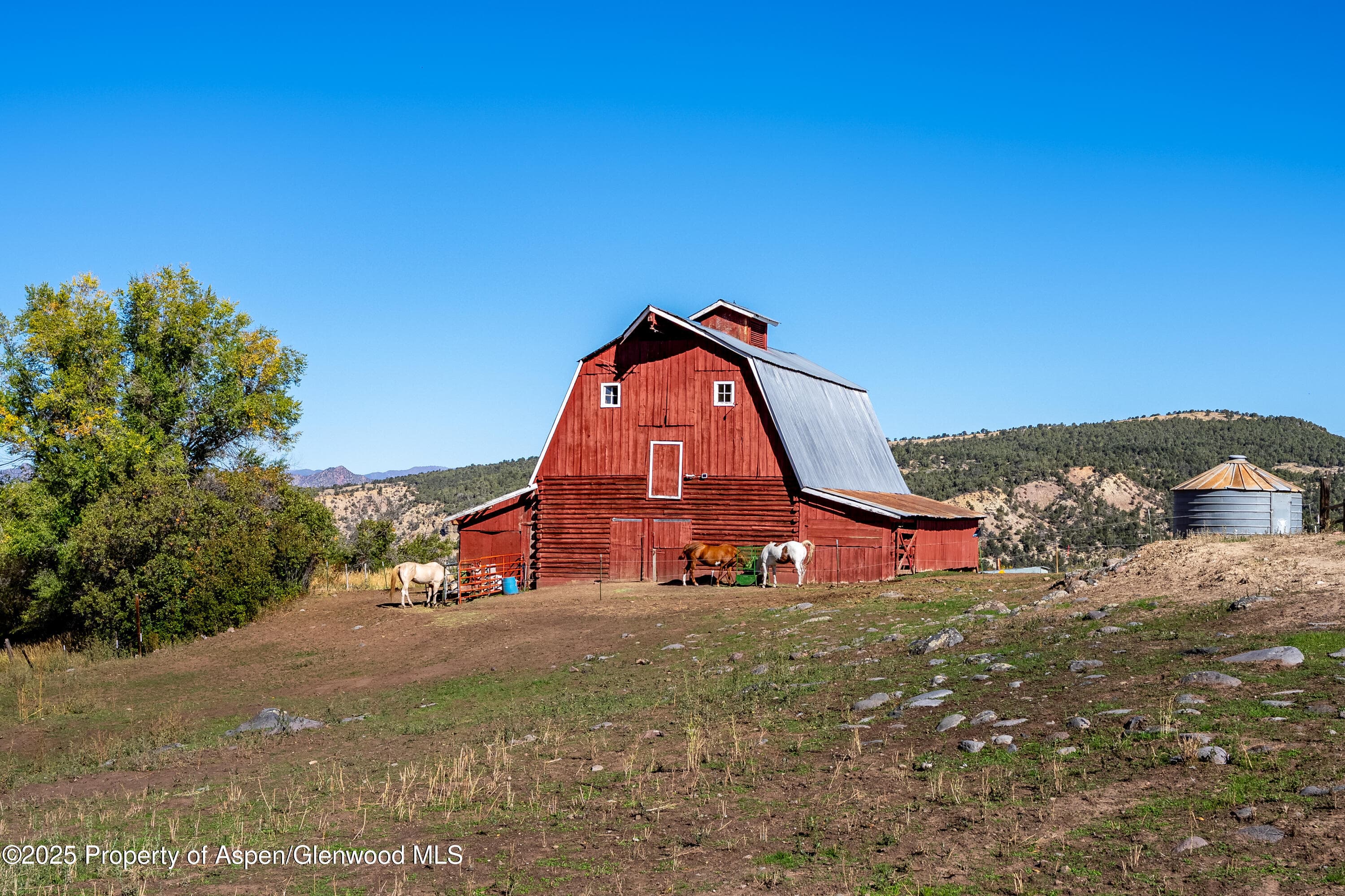 4784 County Road 312, New Castle, CO 81647 - Photo 30