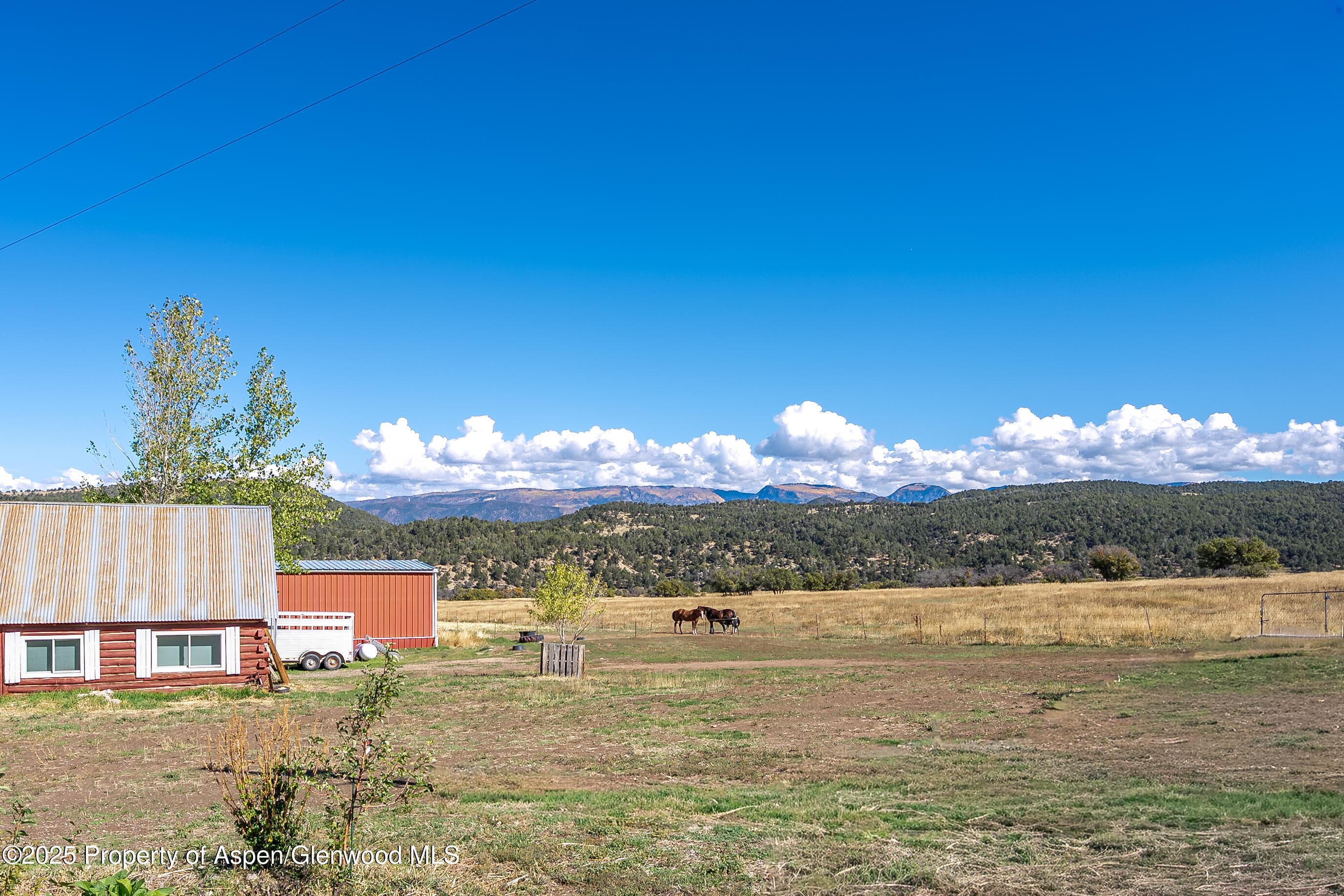 4784 County Road 312, New Castle, CO 81647 - Photo 33