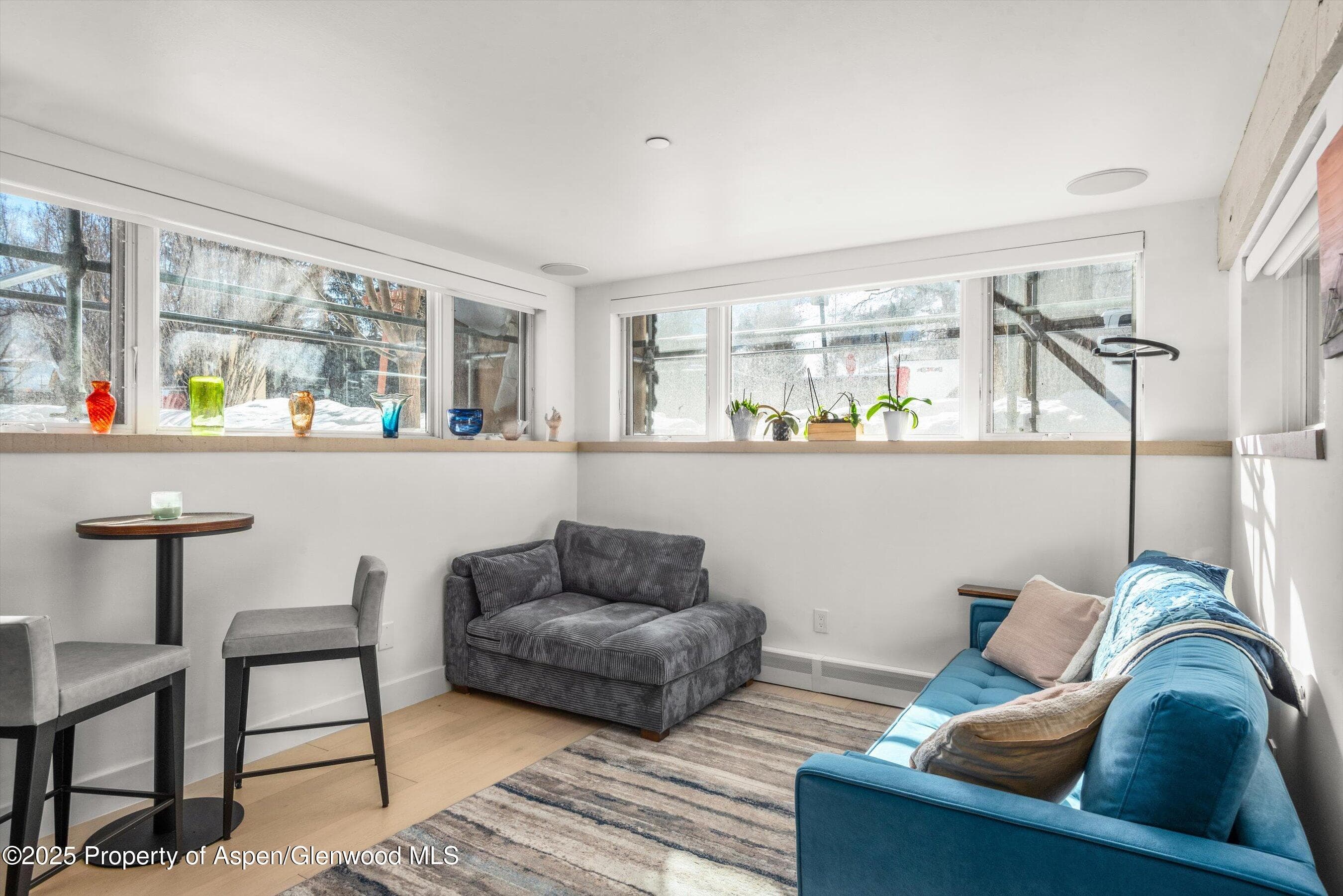 104 W Cooper Avenue 1A, Aspen, CO 81611 - Photo 7