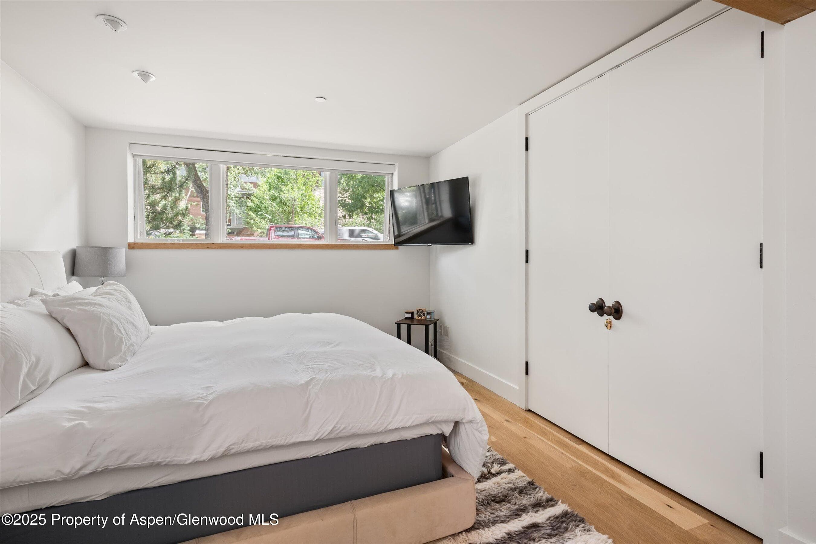 104 W Cooper Avenue 1A, Aspen, CO 81611 - Photo 17