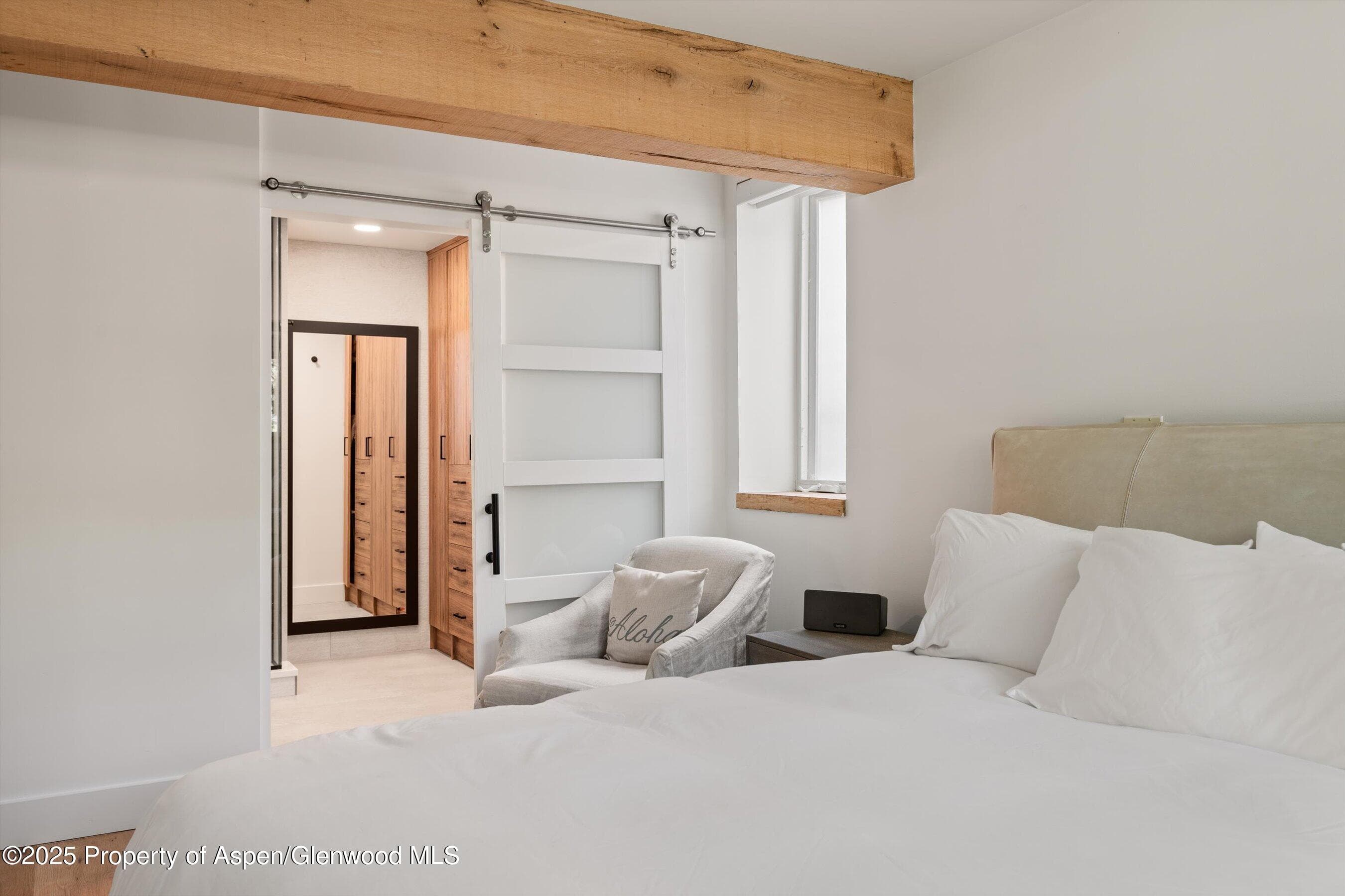 104 W Cooper Avenue 1A, Aspen, CO 81611 - Photo 18