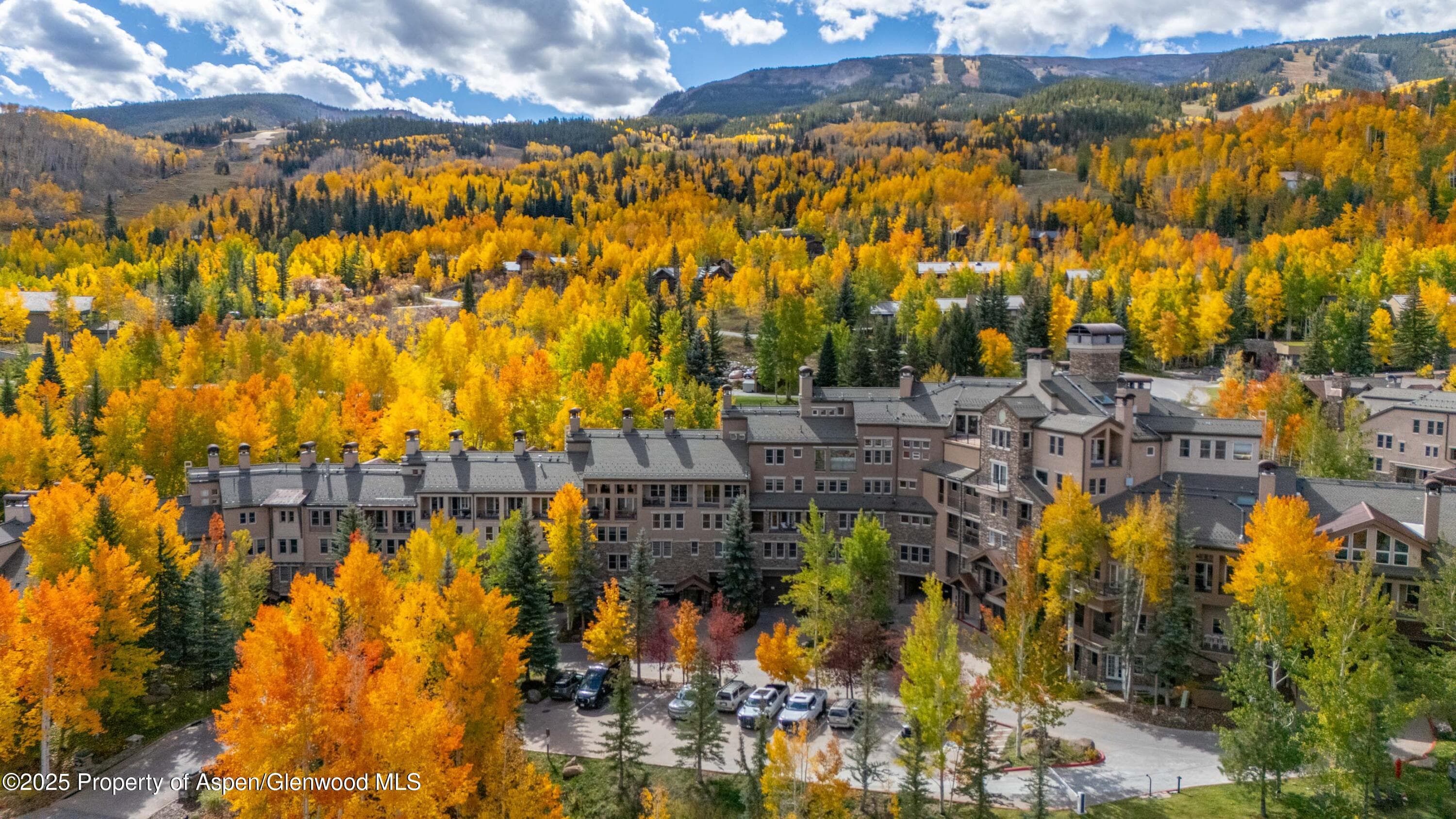 425 Wood Road 10, Snowmass Village, CO 81615