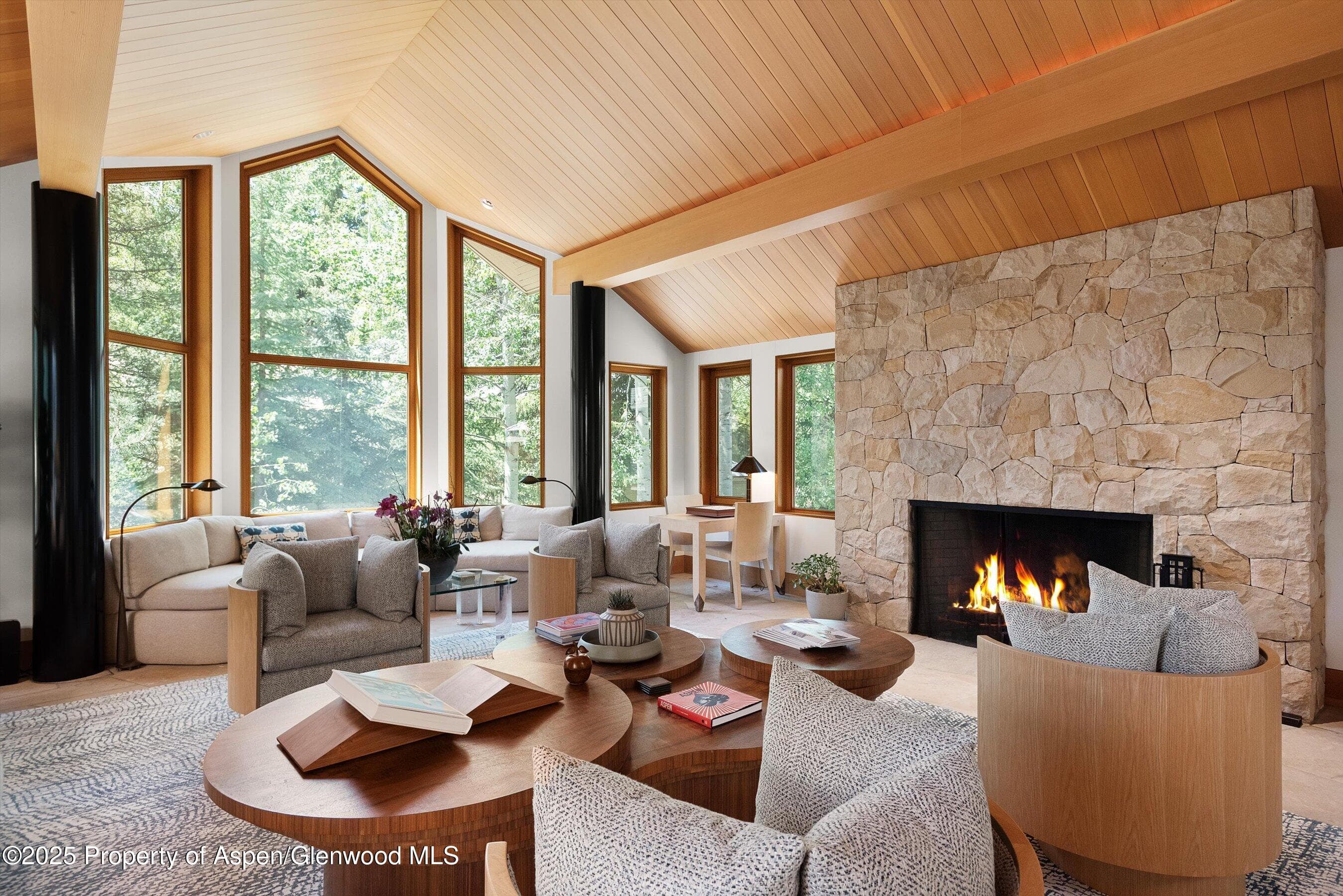 800 Roaring Fork Road, Aspen, CO 81611 - Photo 4
