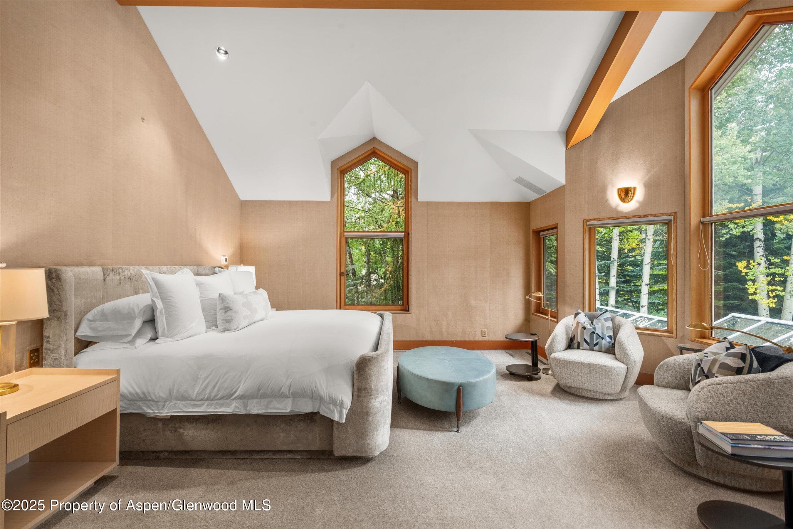 800 Roaring Fork Road, Aspen, CO 81611 - Photo 13