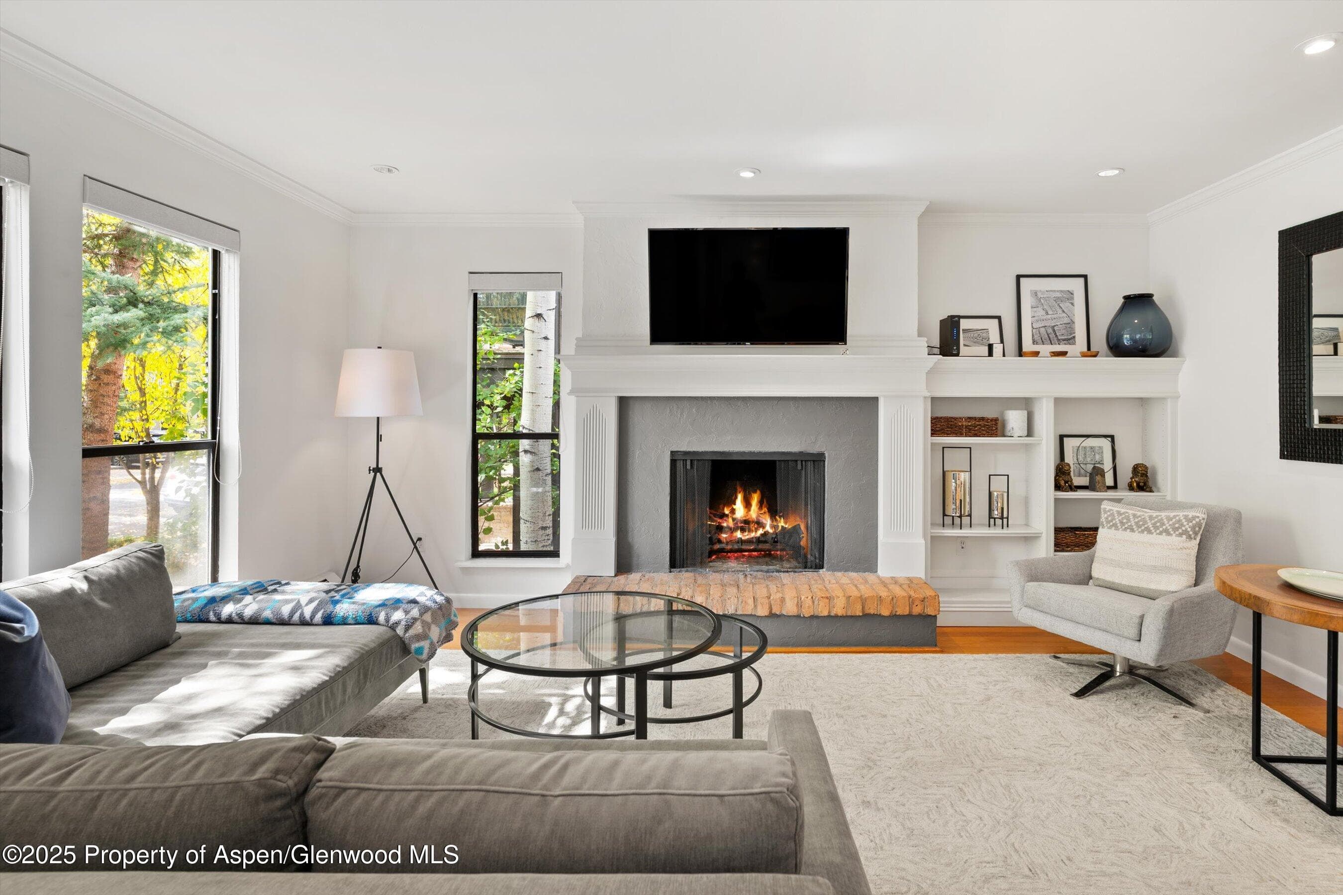 980 E Hyman Avenue 3, Aspen, CO 81611 - Photo 3