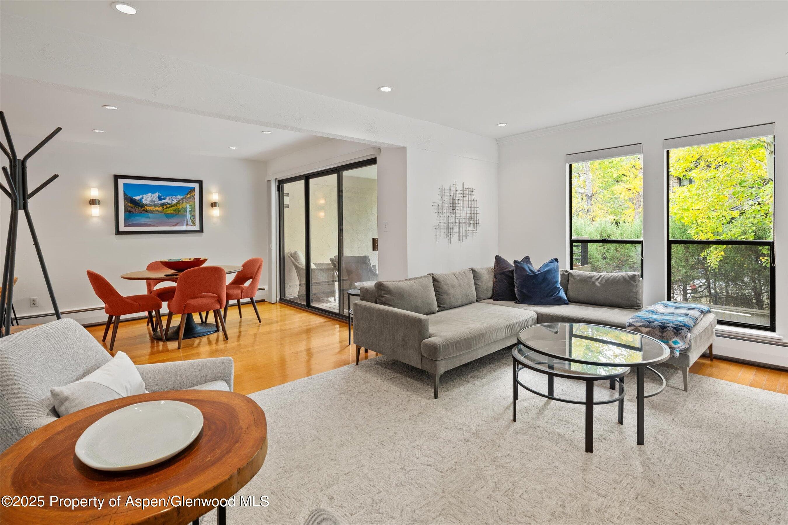 980 E Hyman Avenue 3, Aspen, CO 81611 - Photo 5