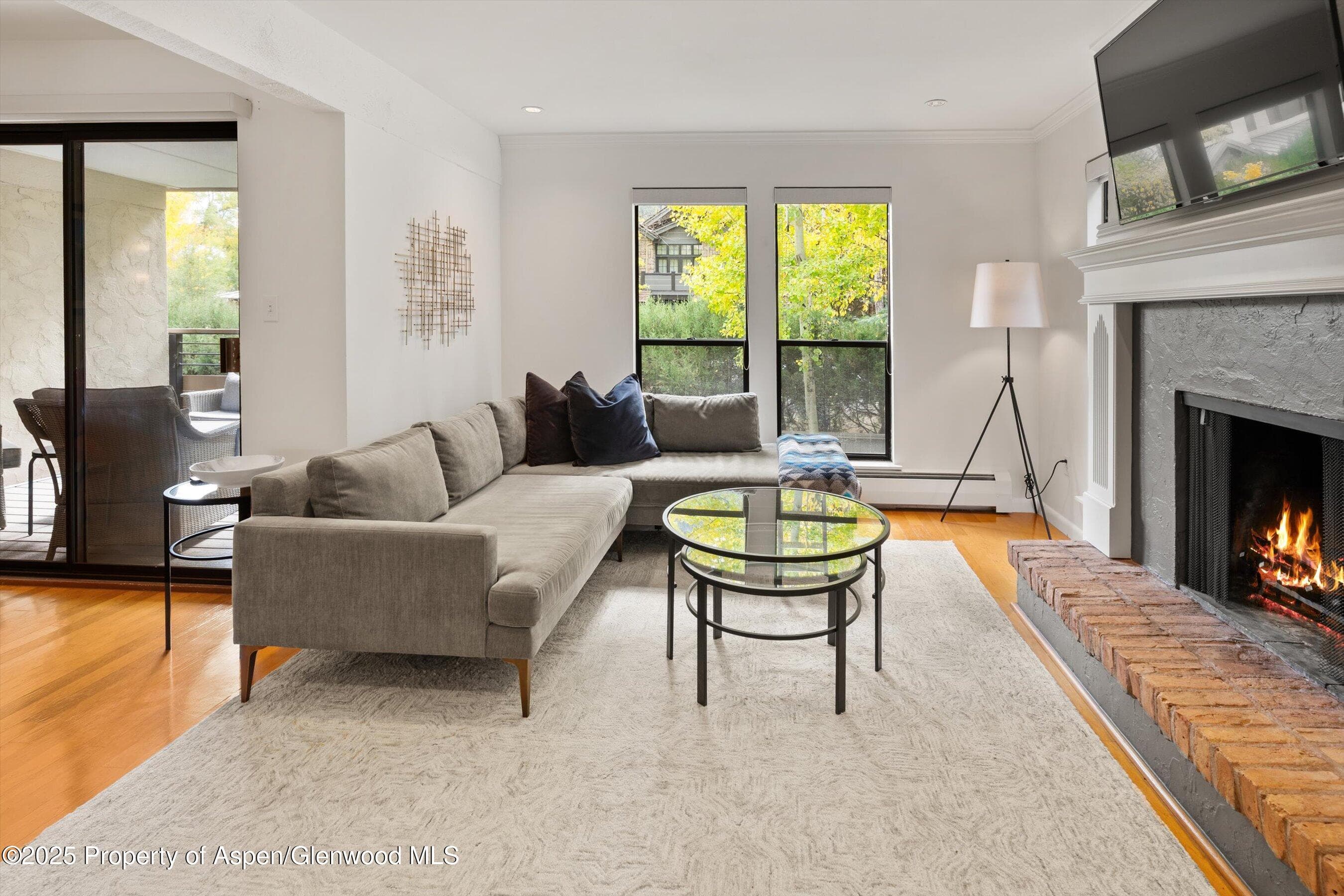 980 E Hyman Avenue 3, Aspen, CO 81611 - Photo 2