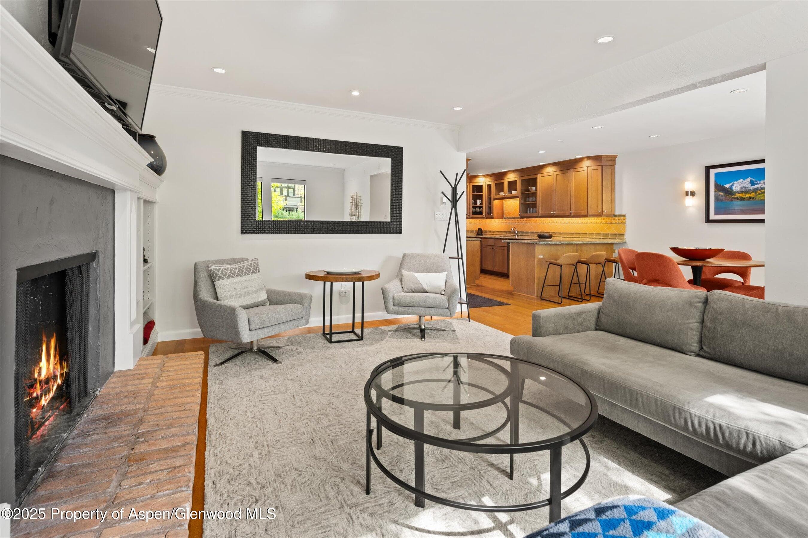 980 E Hyman Avenue 3, Aspen, CO 81611 - Photo 6