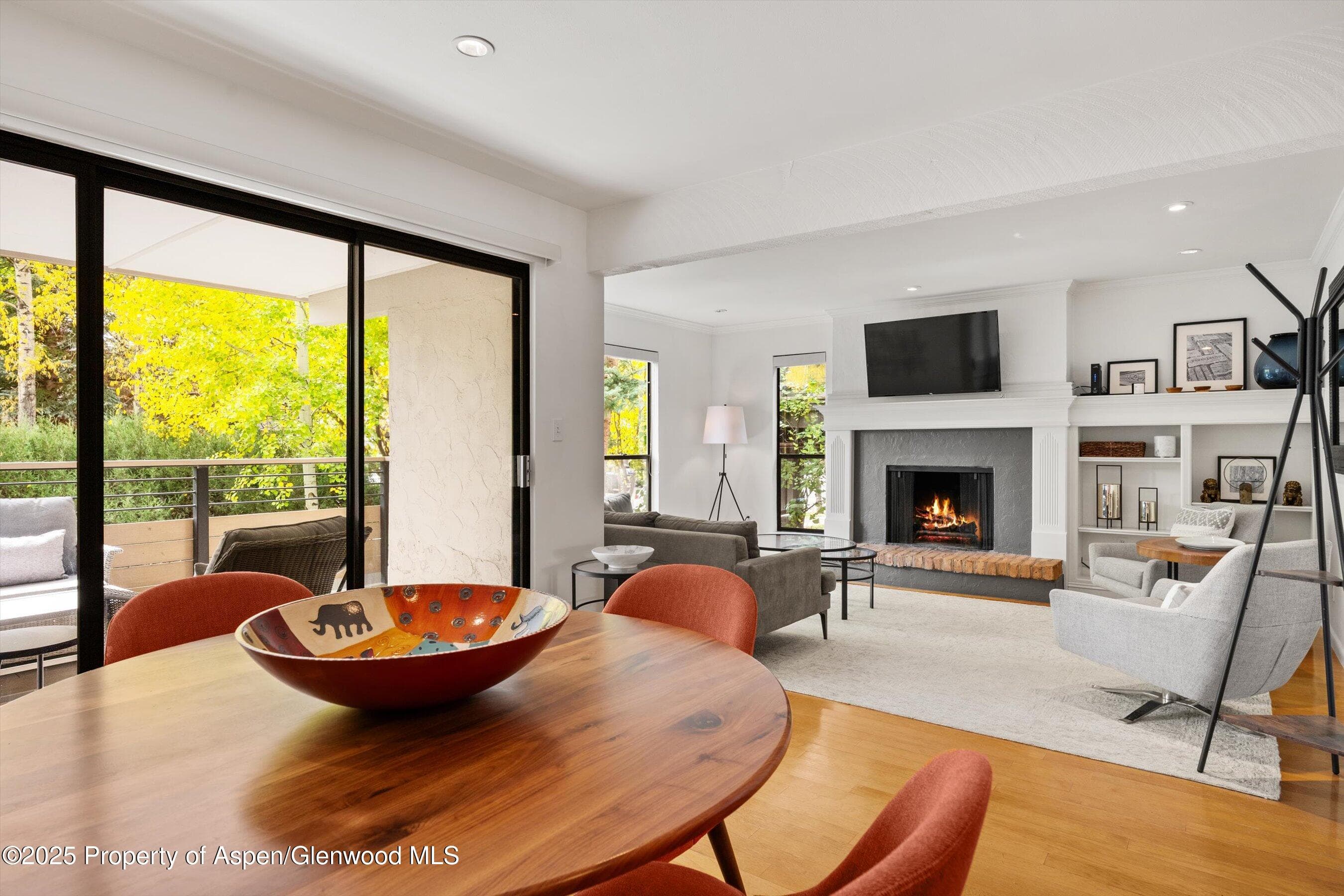 980 E Hyman Avenue 3, Aspen, CO 81611 - Photo 10