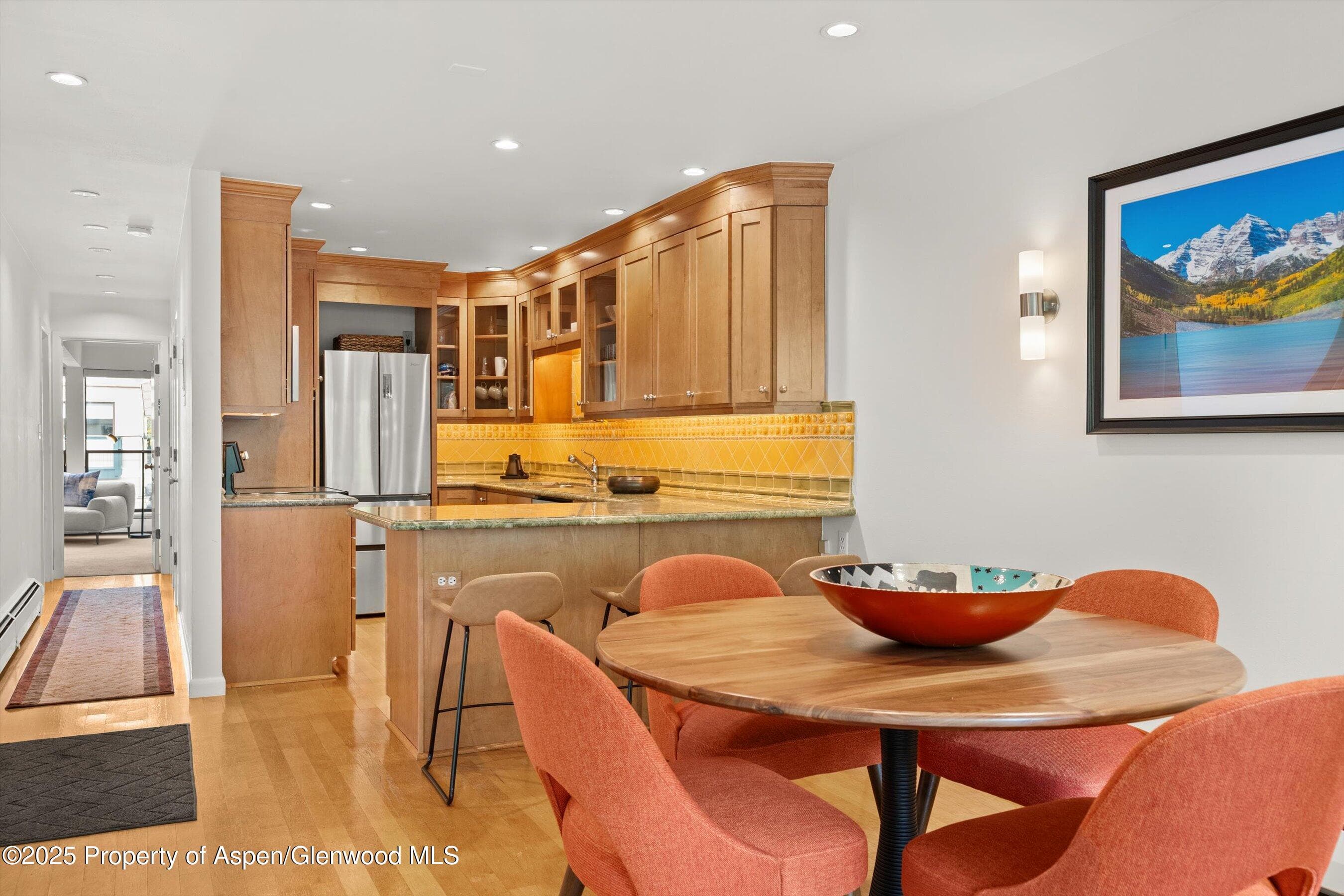 980 E Hyman Avenue 3, Aspen, CO 81611 - Photo 12