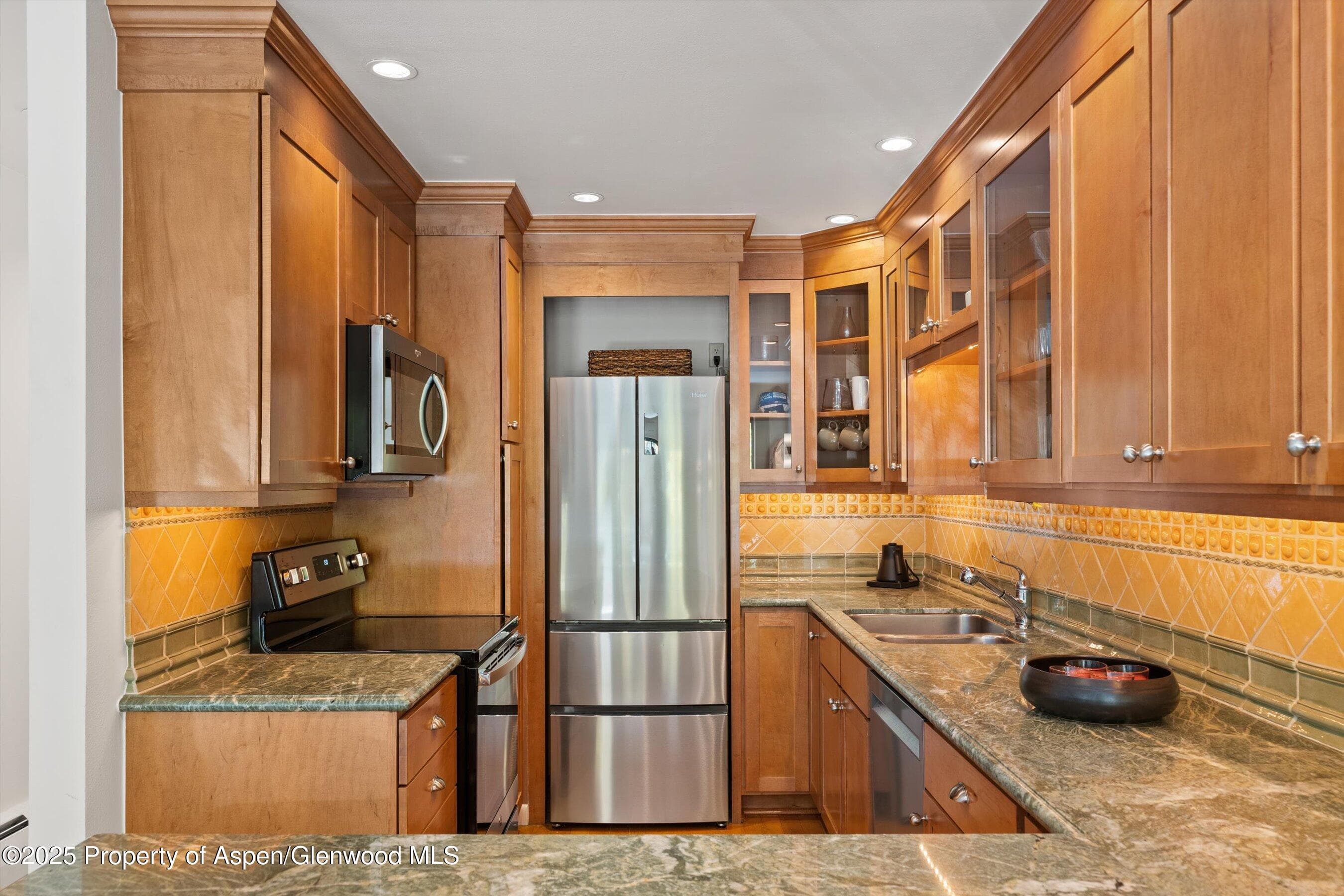 980 E Hyman Avenue 3, Aspen, CO 81611 - Photo 14