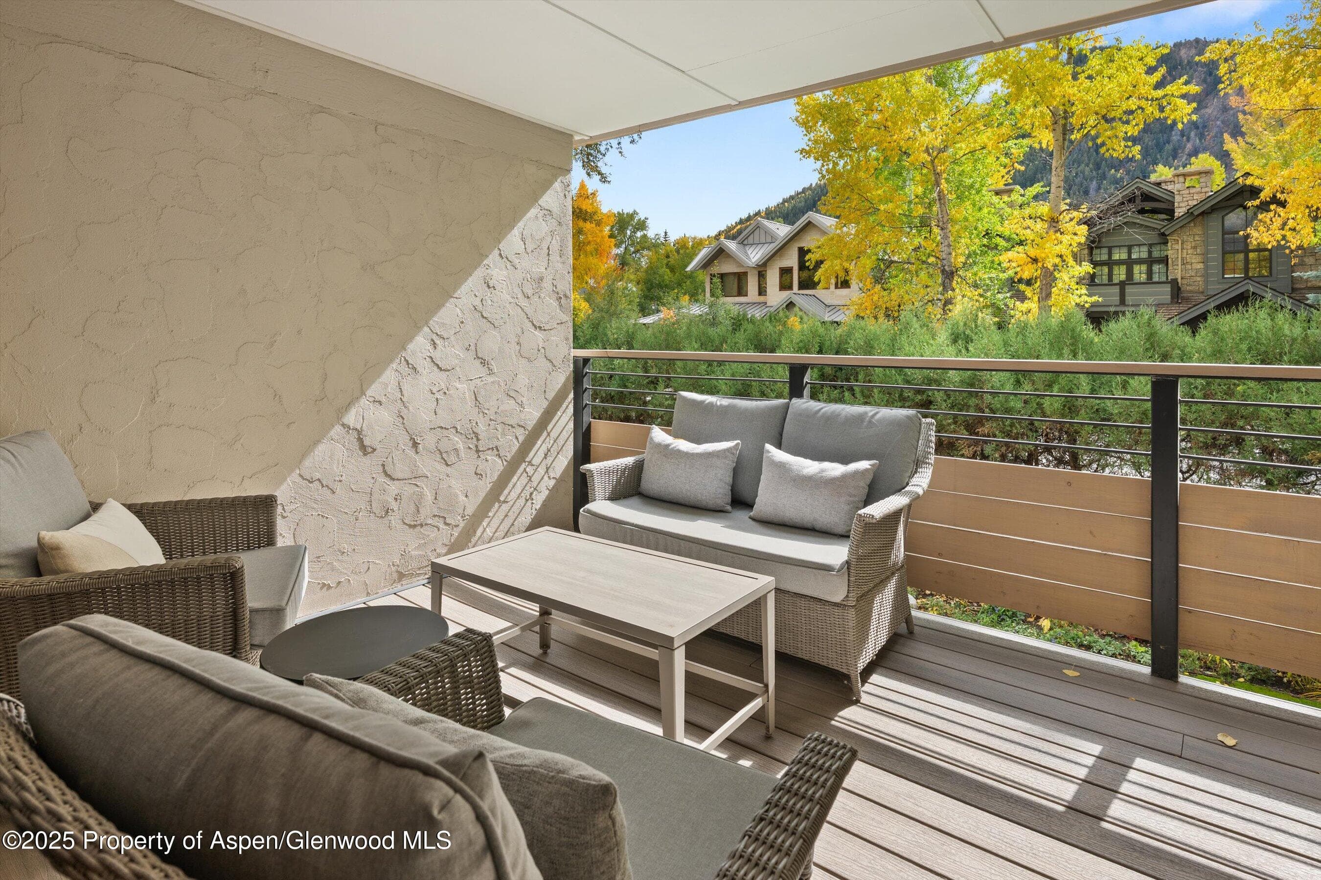 980 E Hyman Avenue 3, Aspen, CO 81611 - Photo 15