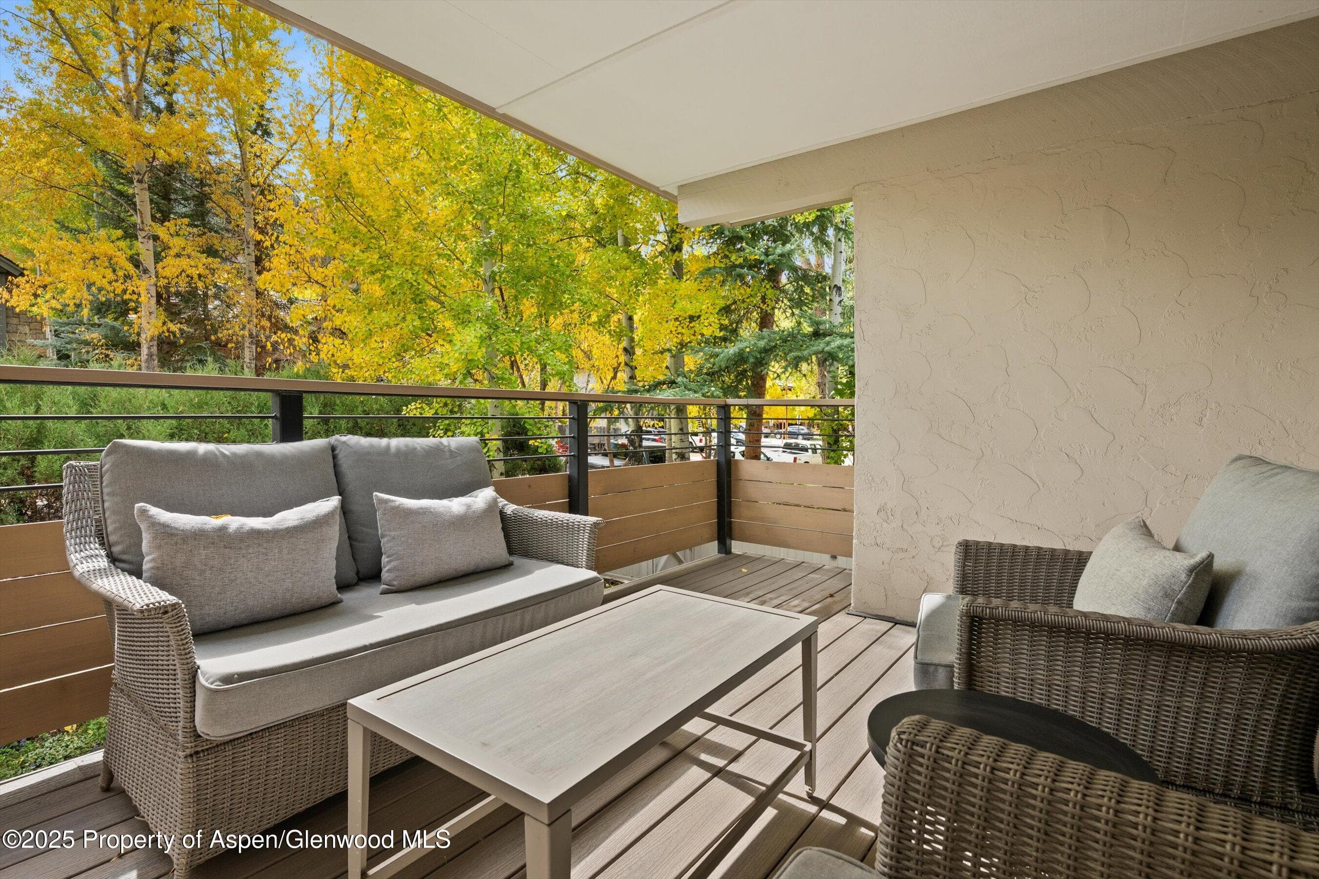 980 E Hyman Avenue 3, Aspen, CO 81611 - Photo 16