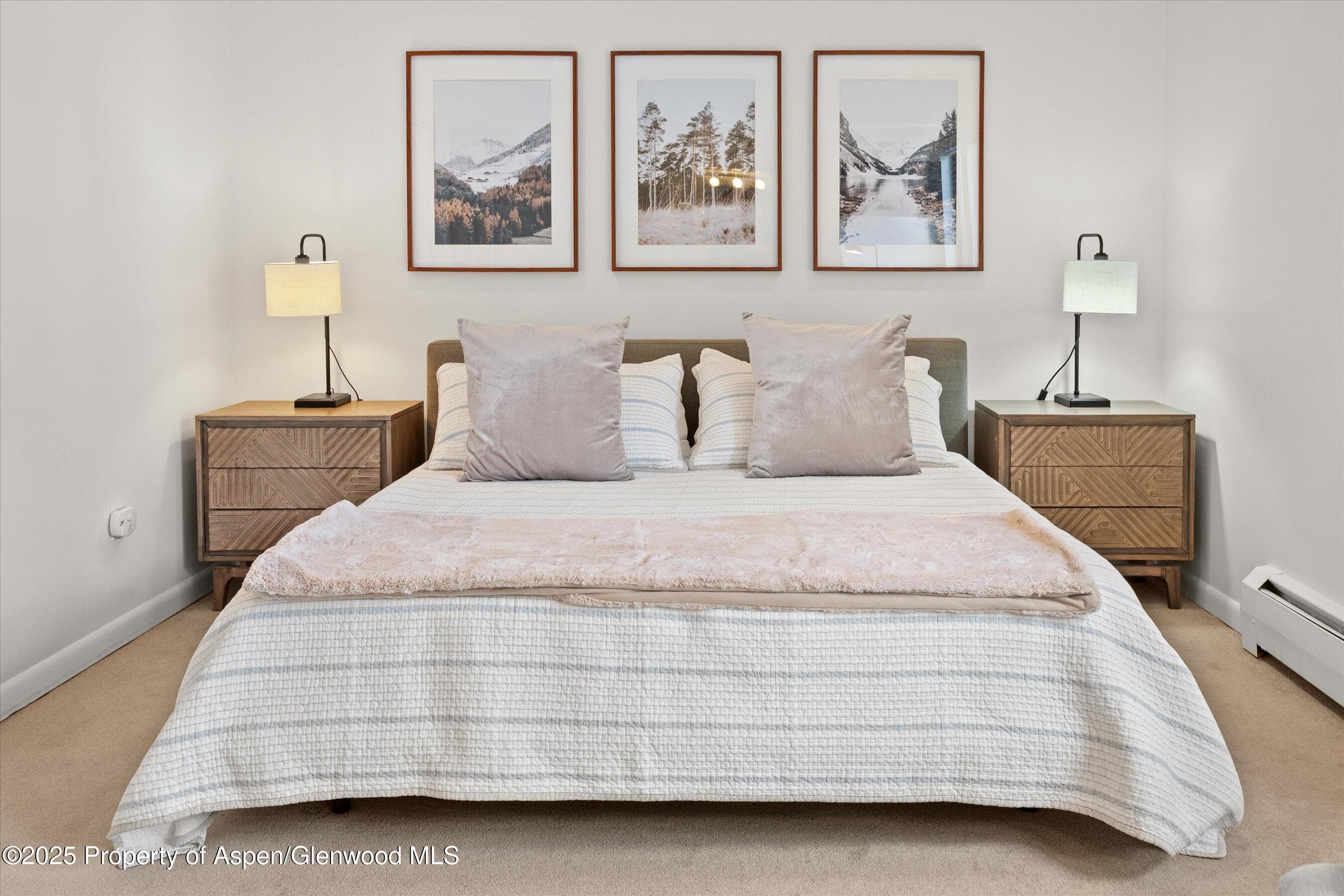 980 E Hyman Avenue 3, Aspen, CO 81611 - Photo 17