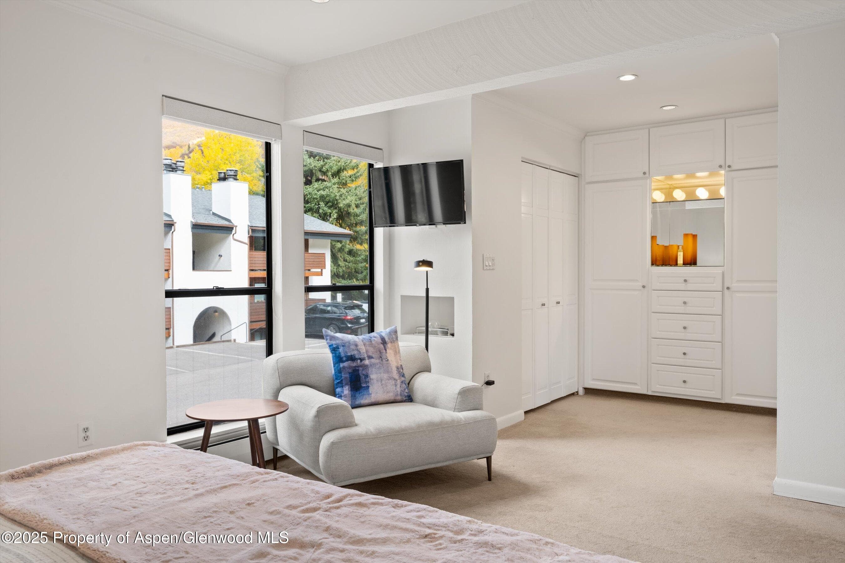 980 E Hyman Avenue 3, Aspen, CO 81611 - Photo 19