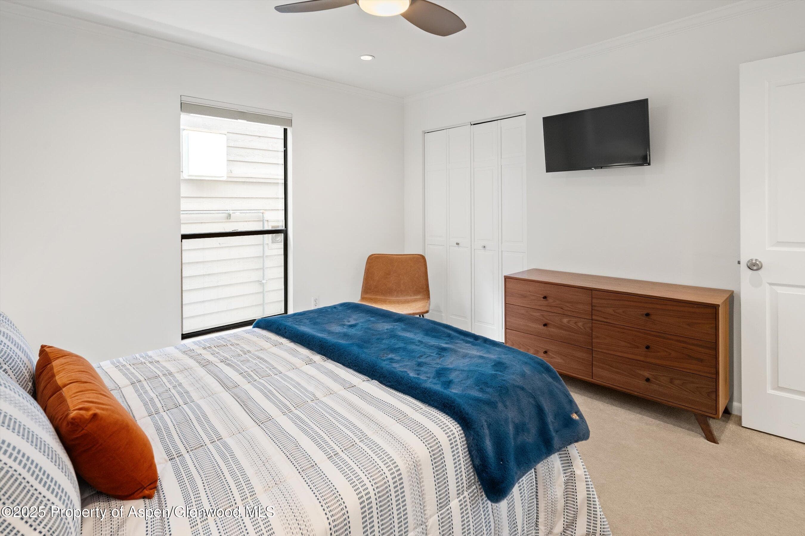 980 E Hyman Avenue 3, Aspen, CO 81611 - Photo 23