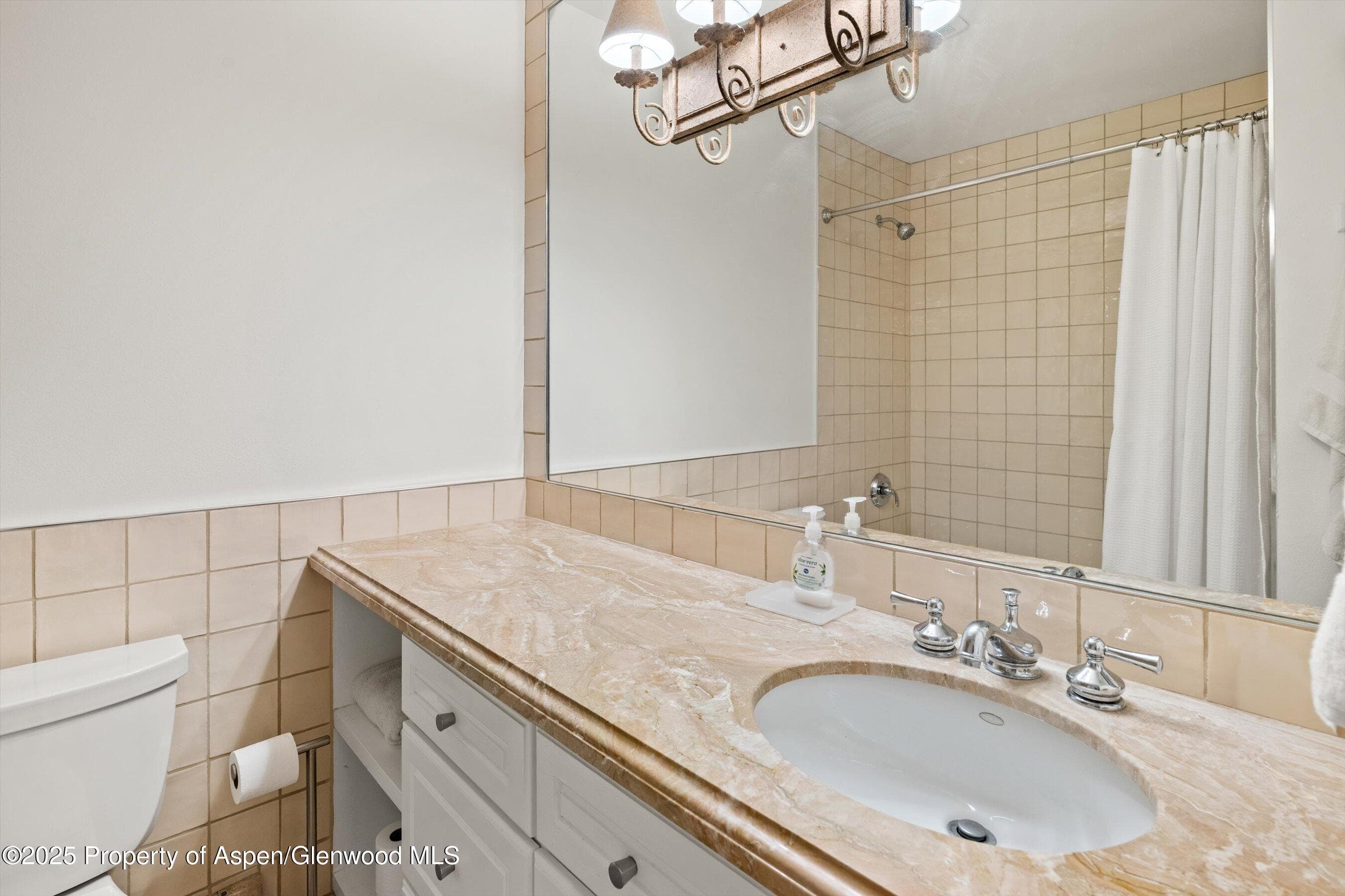 980 E Hyman Avenue 3, Aspen, CO 81611 - Photo 24