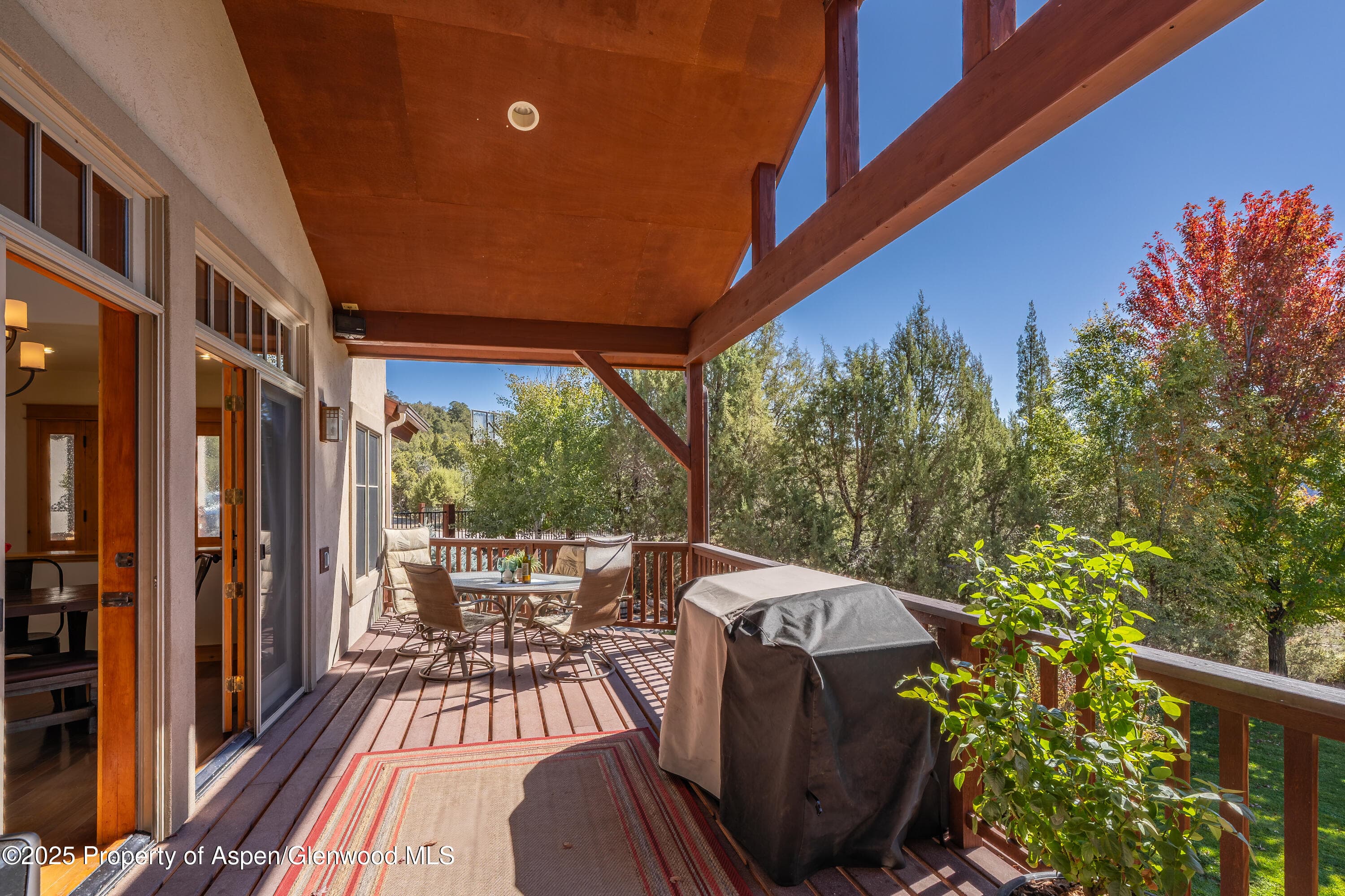 621 Elk Run Road, New Castle, CO 81647 - Photo 13