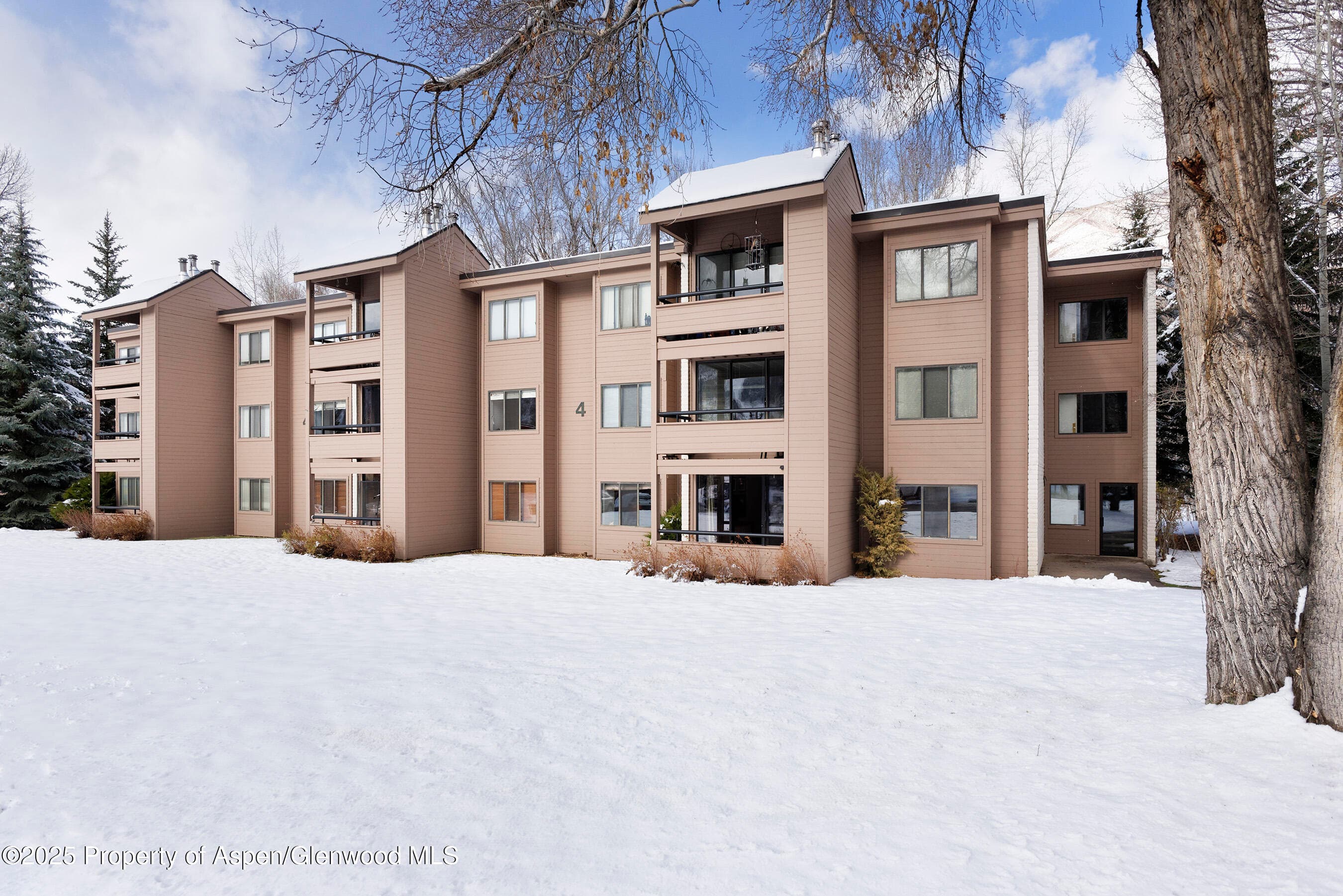 415 Vine Street 415, Aspen, CO 81611