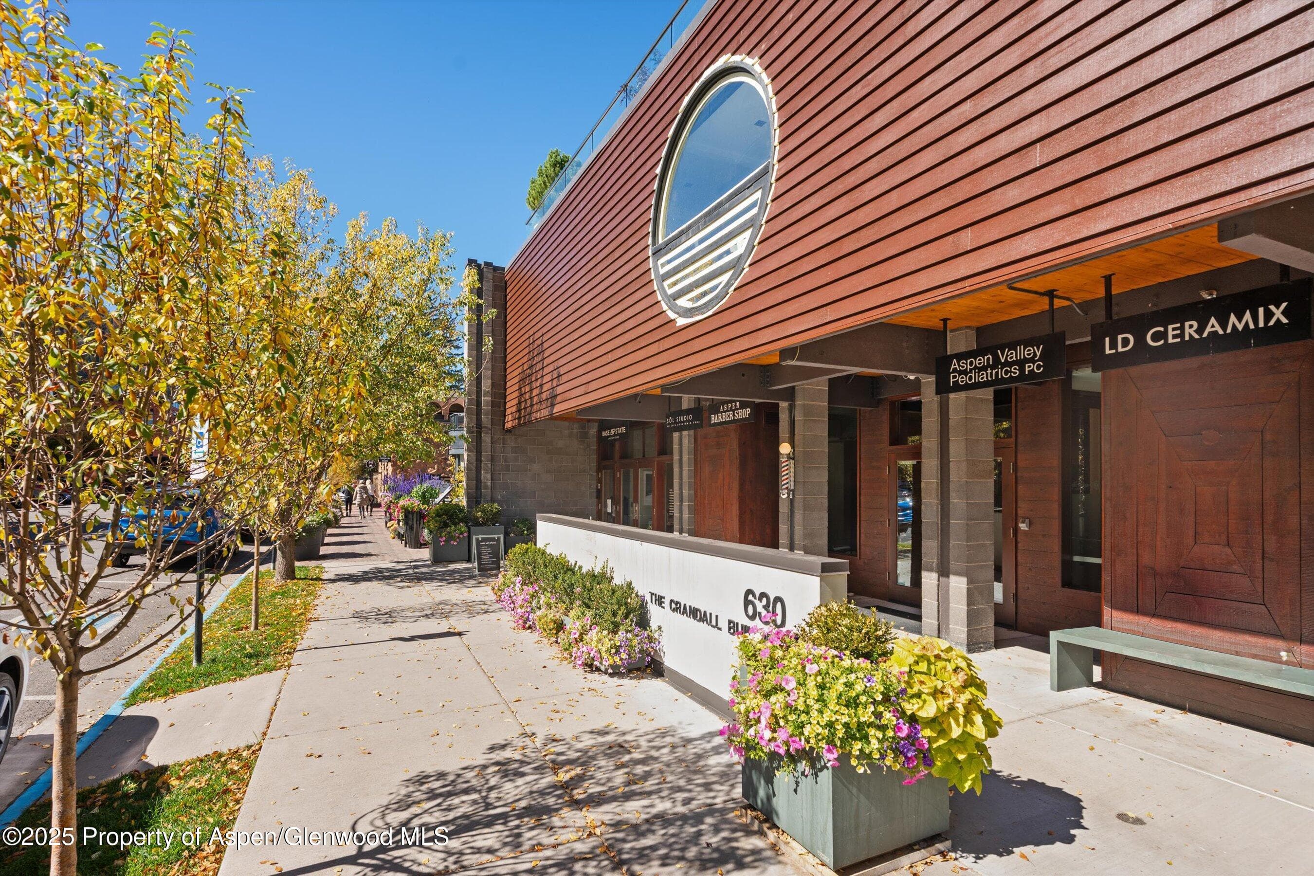 630 E Hyman Avenue 203, 204, 205 & 206, Aspen, CO 81611 - Photo 18