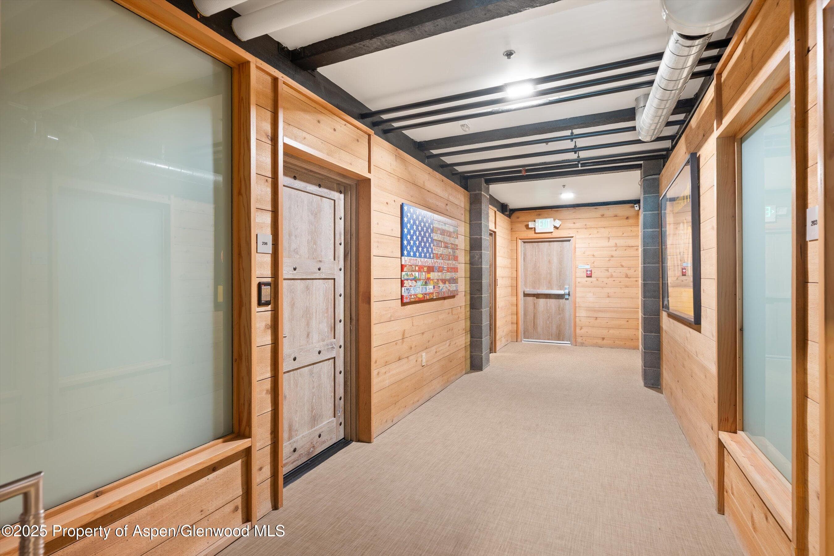 630 E Hyman Avenue 203, 204, 205 & 206, Aspen, CO 81611 - Photo 15
