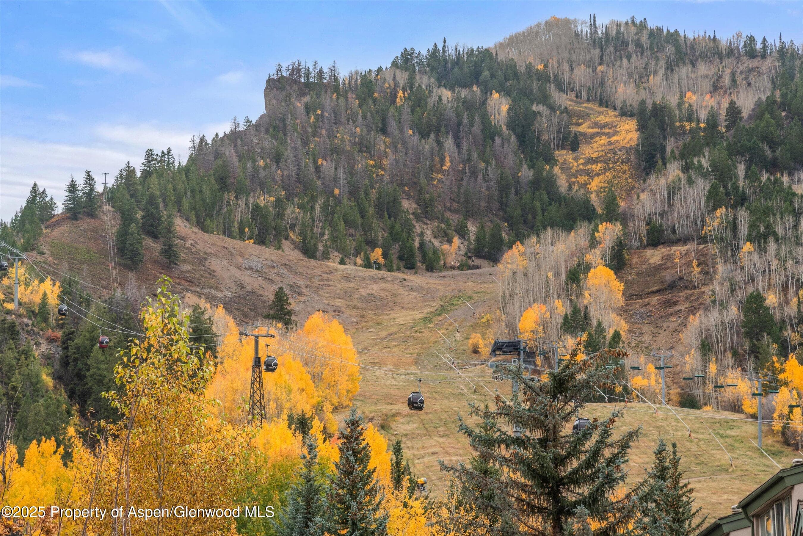 725 E Durant Avenue 22, Aspen, CO 81611 - Photo 14