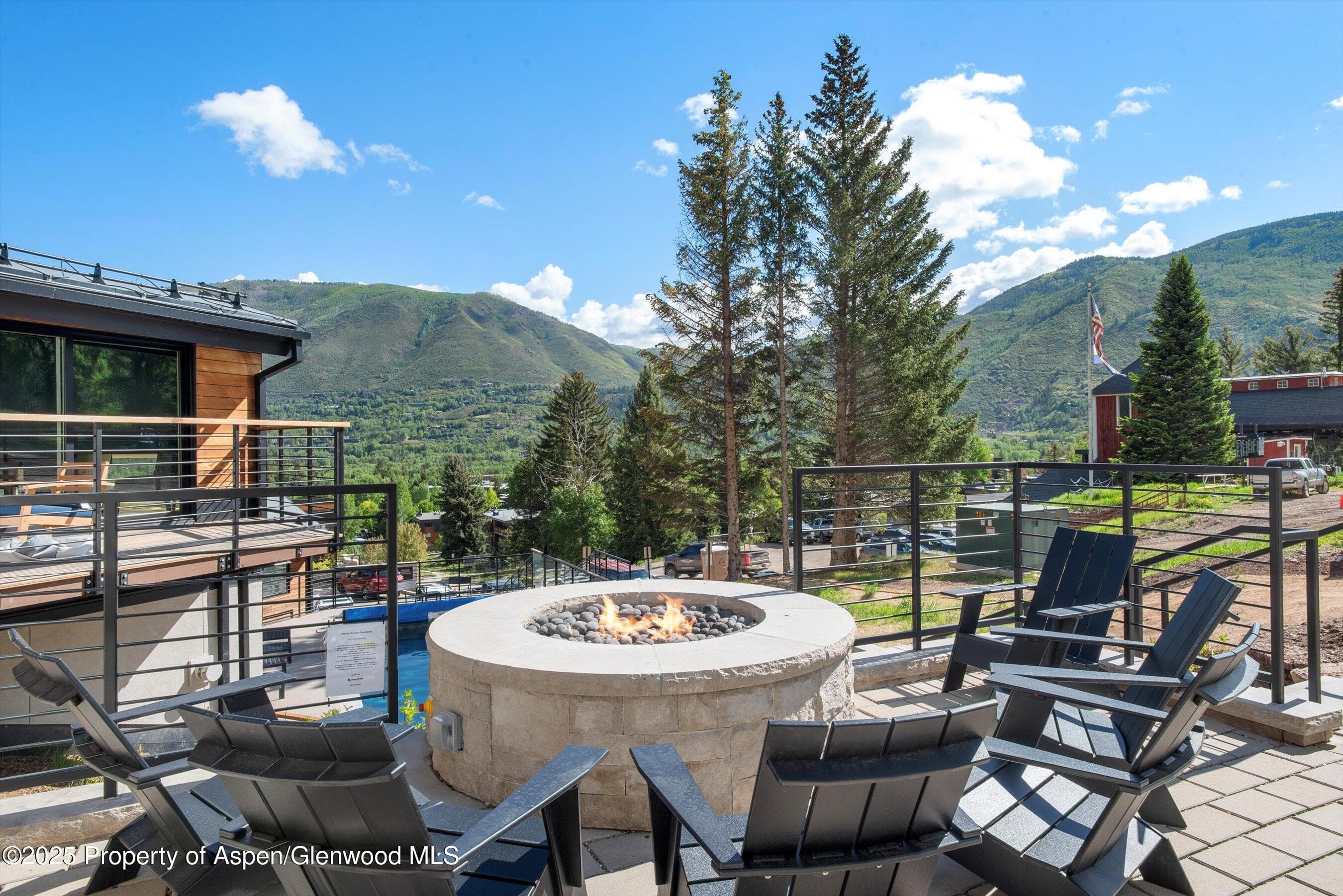 809 S Aspen Street 17, Aspen, CO 81611 - Photo 16