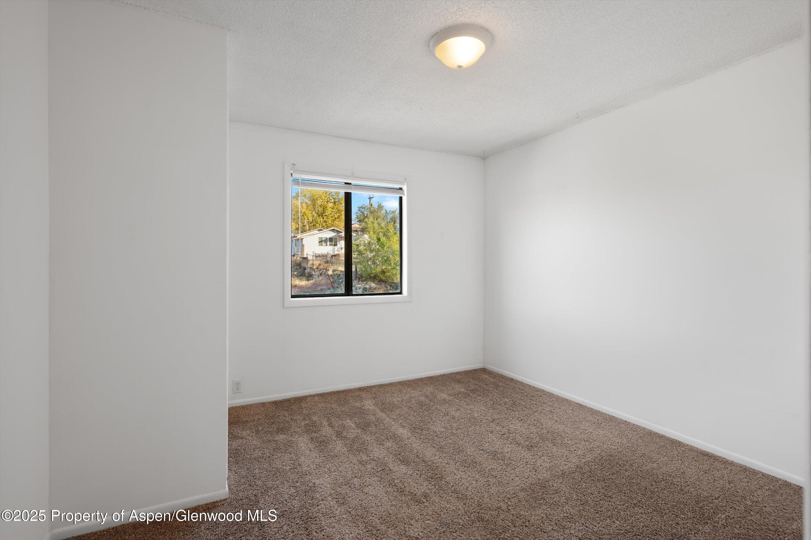 411 E 1st Street, Rifle, CO 81650 - Photo 8