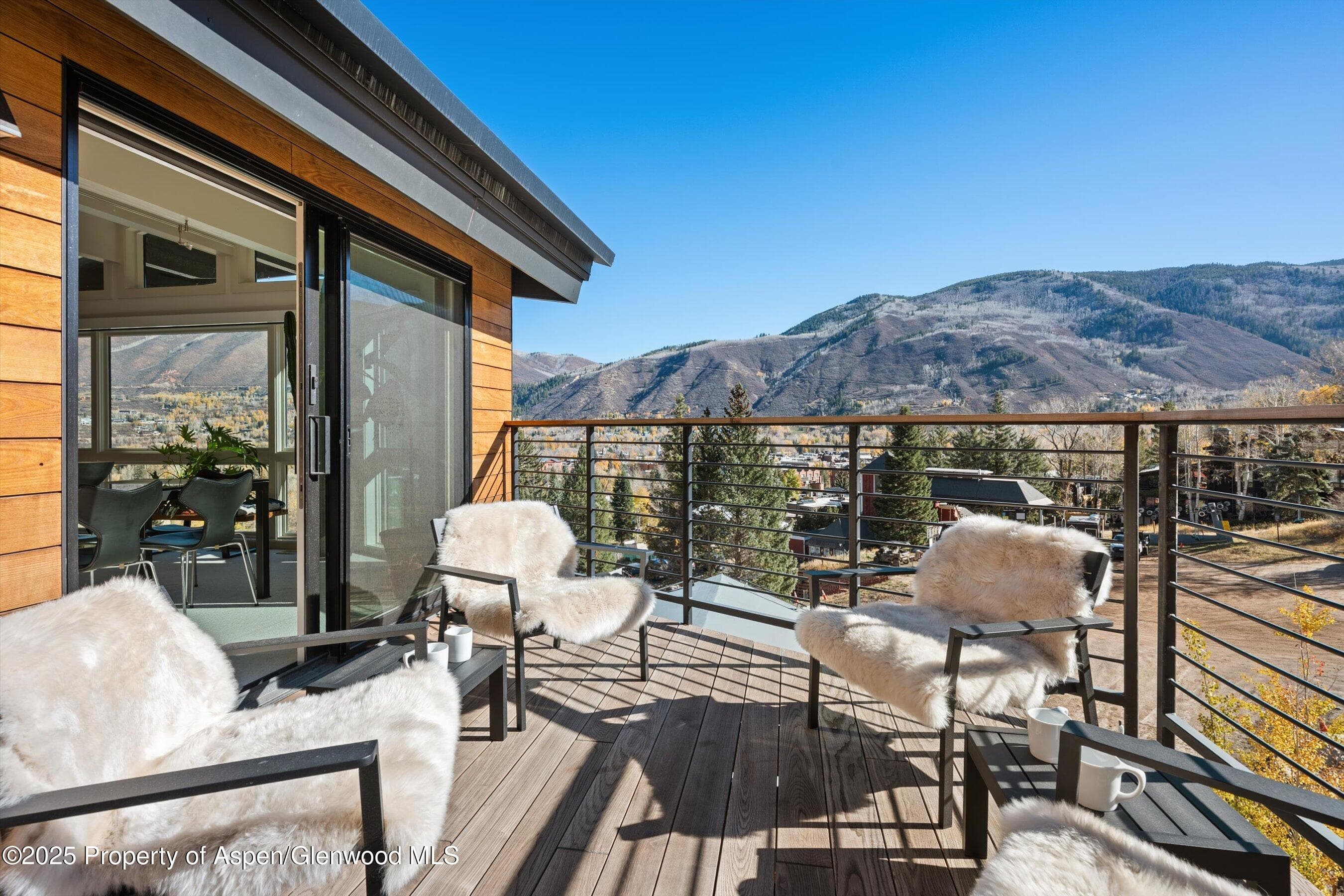 809 S Aspen Street 17, Aspen, CO 81611 - Photo 33
