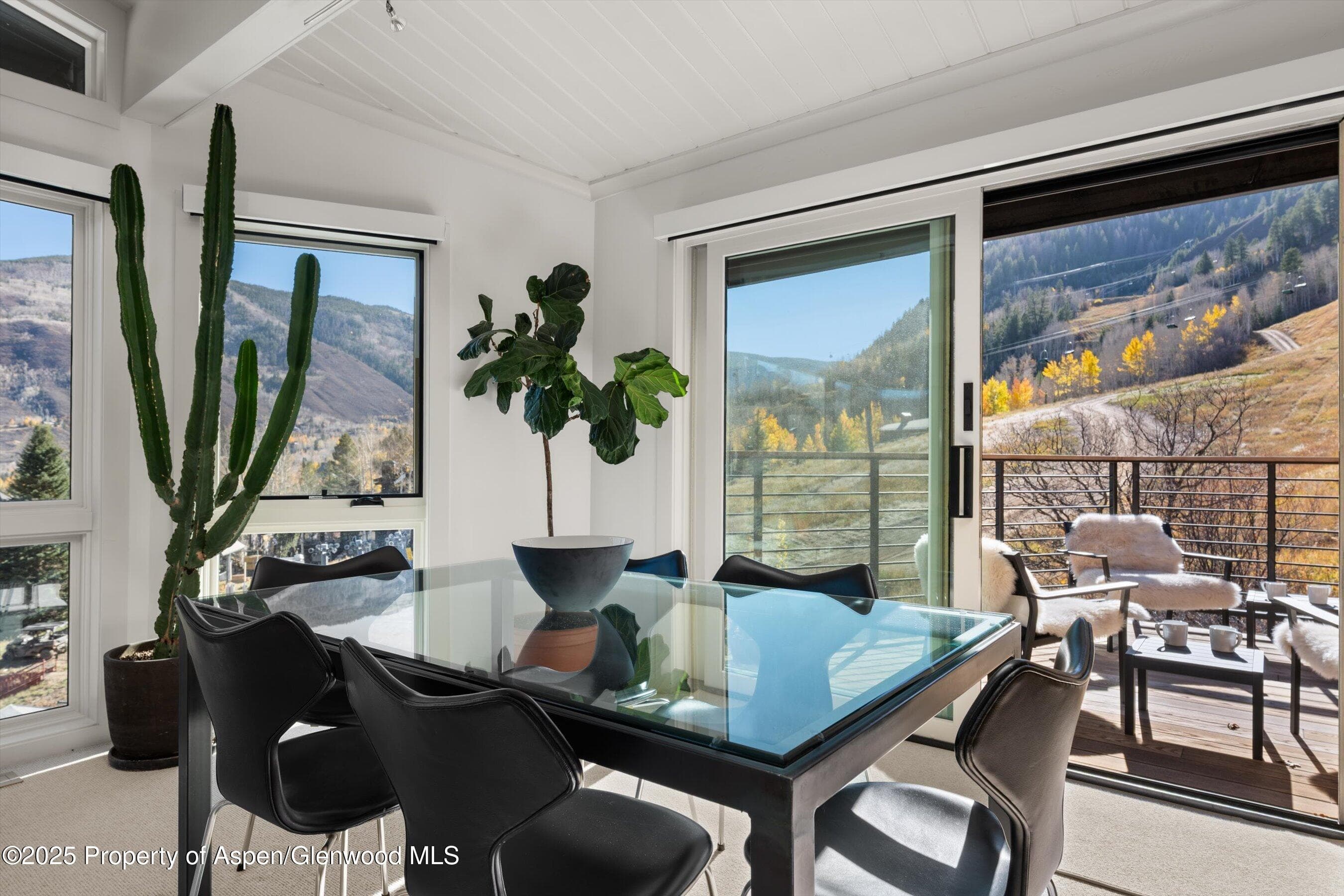 809 S Aspen Street 17, Aspen, CO 81611 - Photo 14