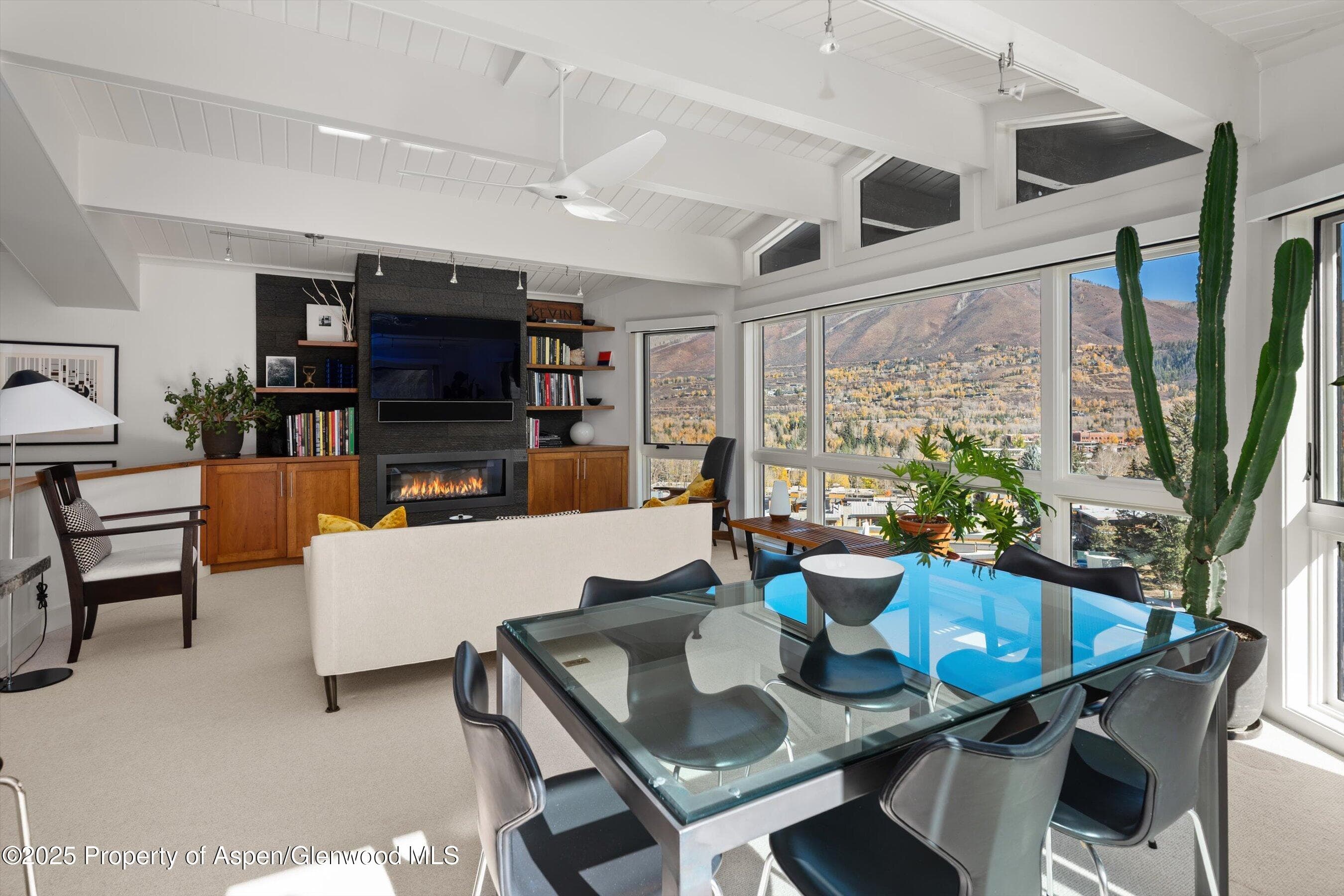 809 S Aspen Street 17, Aspen, CO 81611 - Photo 15