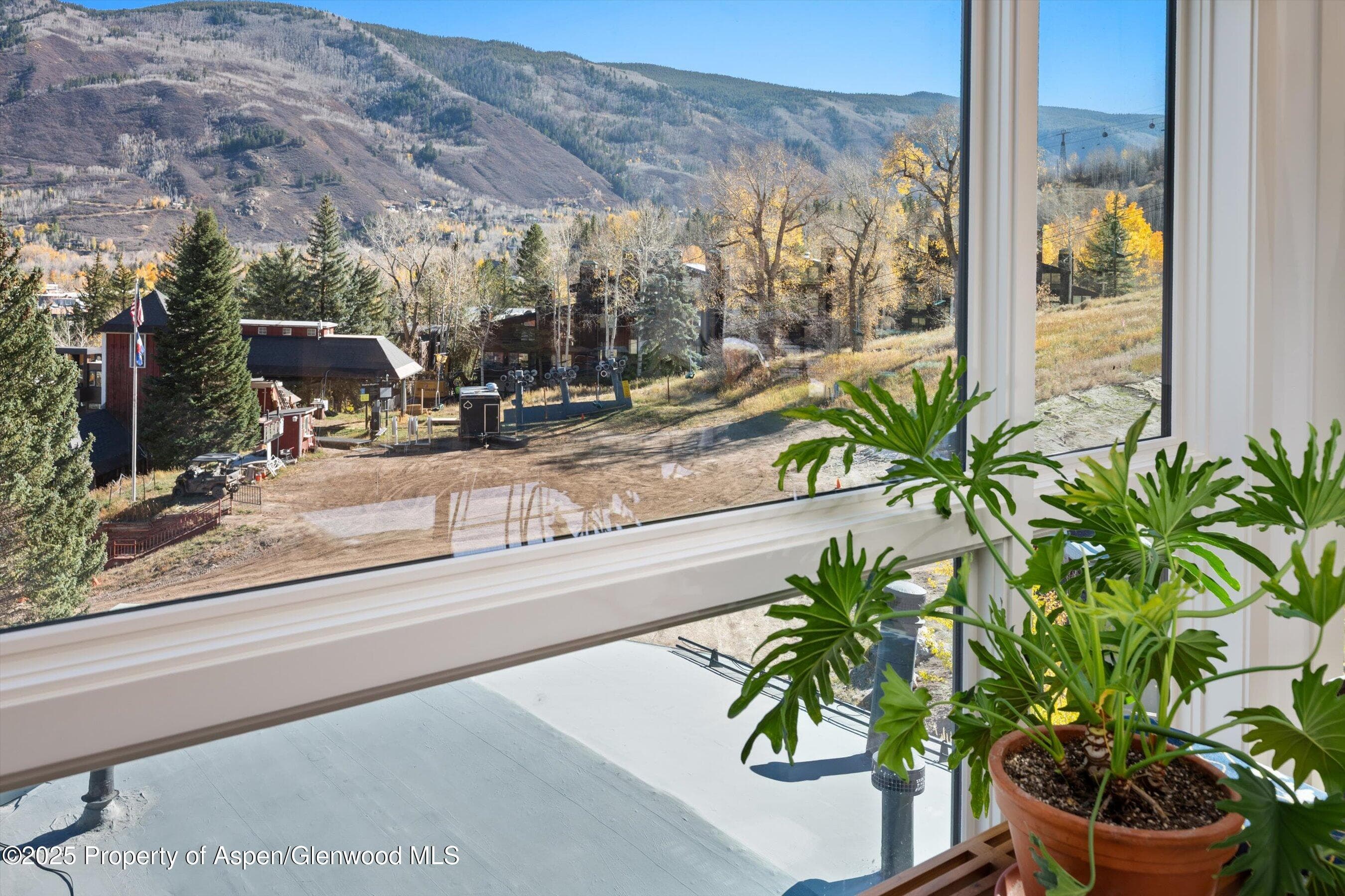 809 S Aspen Street 17, Aspen, CO 81611 - Photo 34