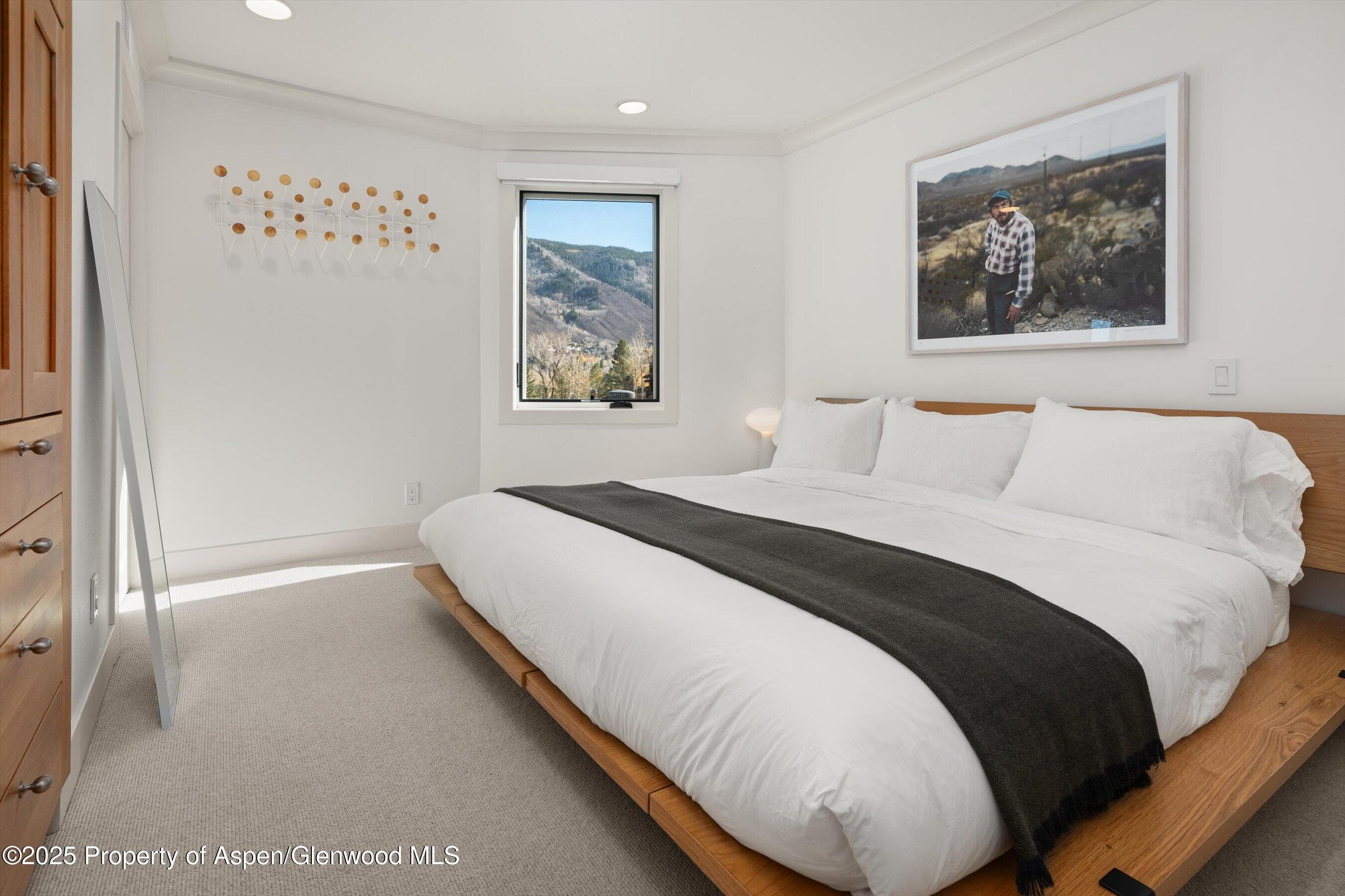809 S Aspen Street 17, Aspen, CO 81611 - Photo 20